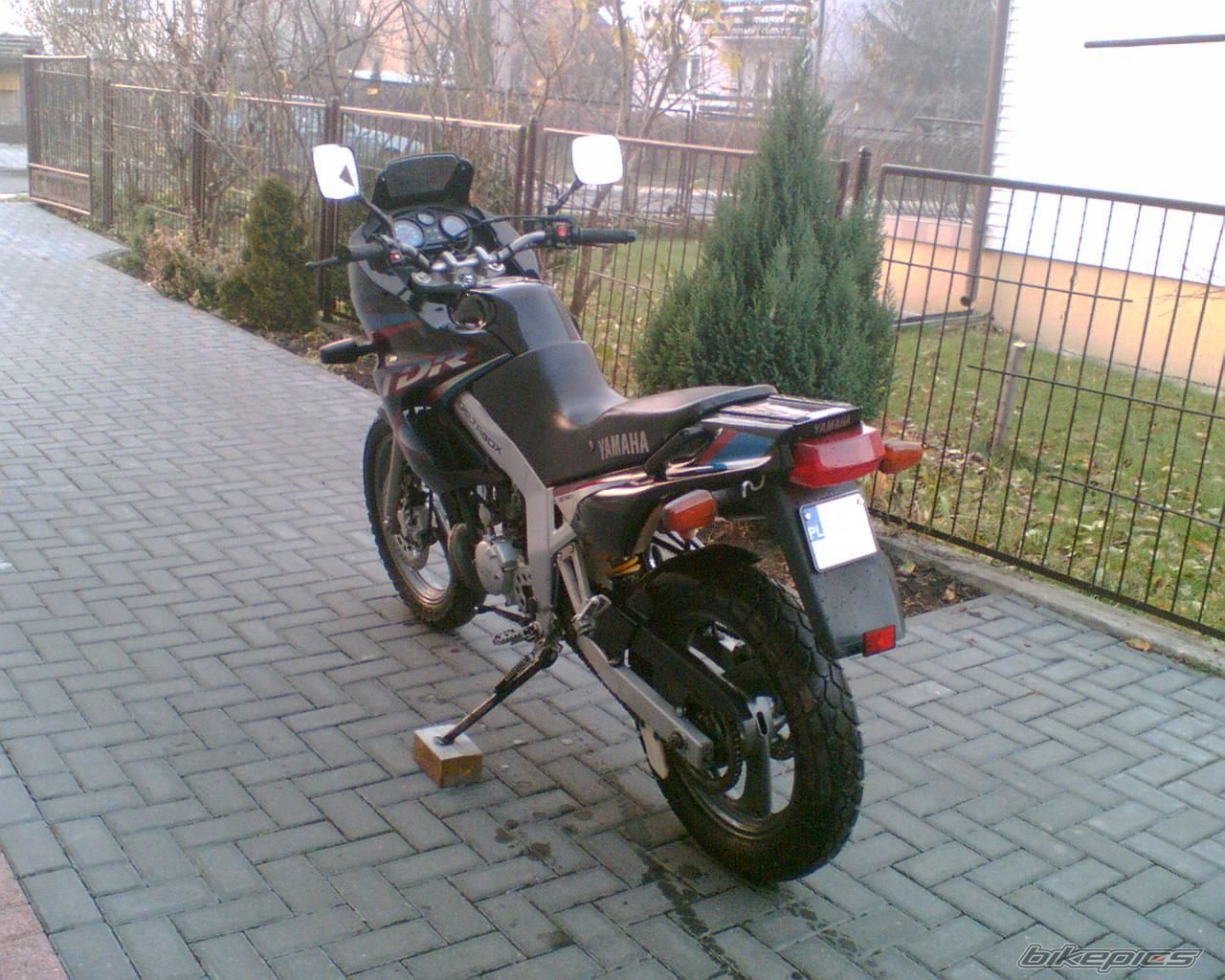 Bike Photo 1555689