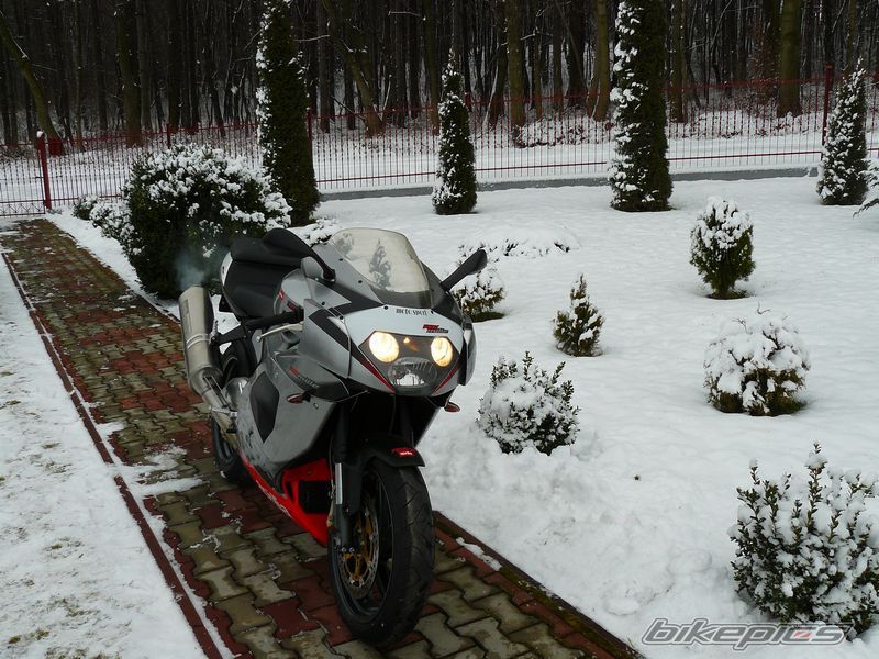 Photo 1555694