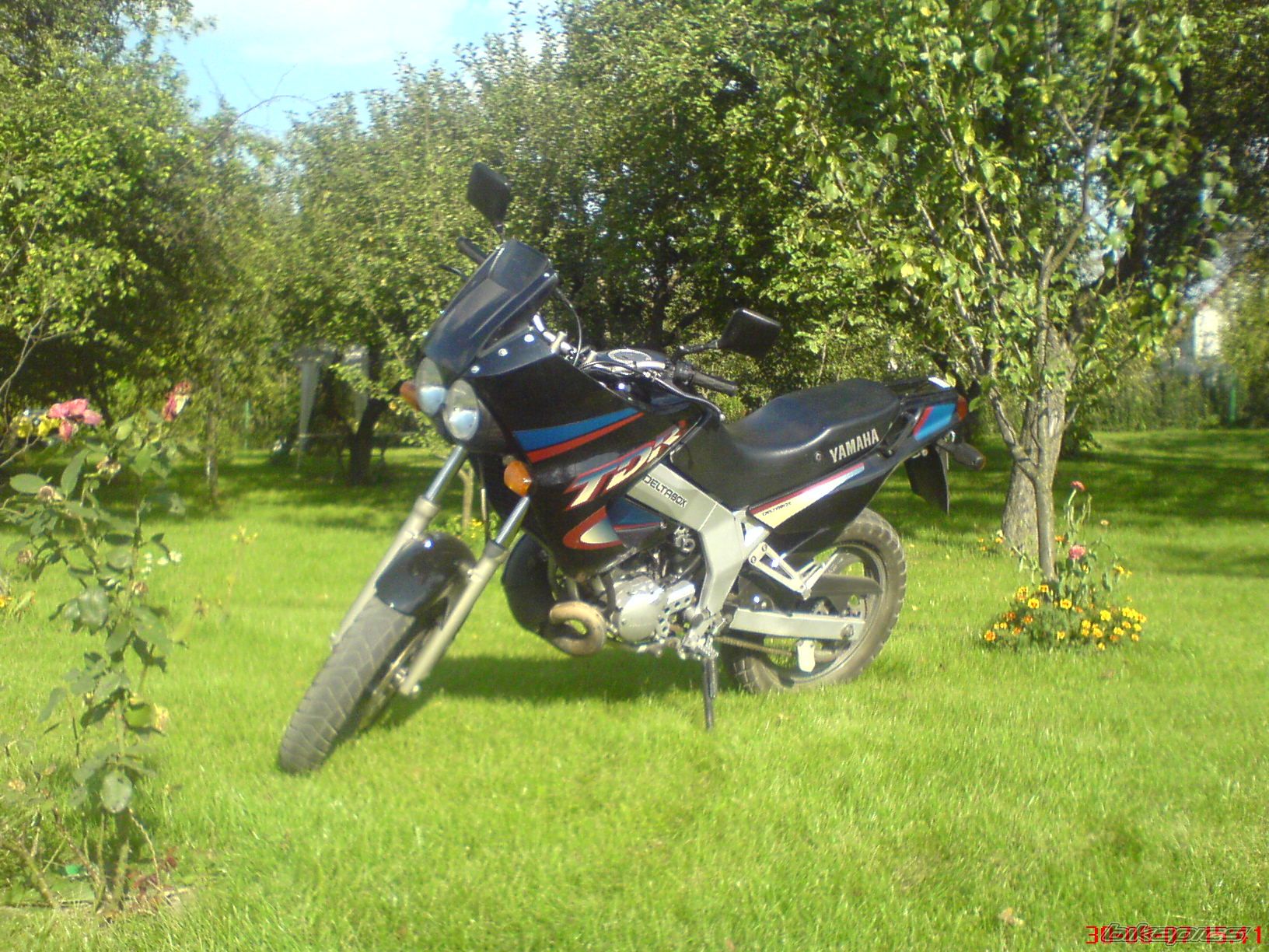 Photo 1555709