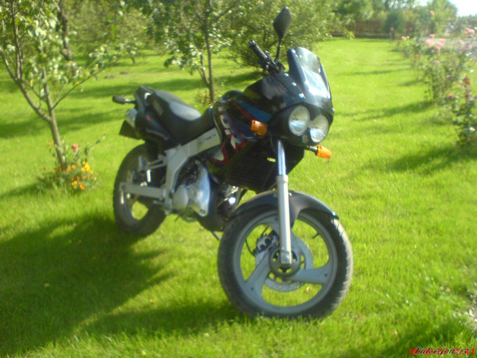 Bike Photo 1555711