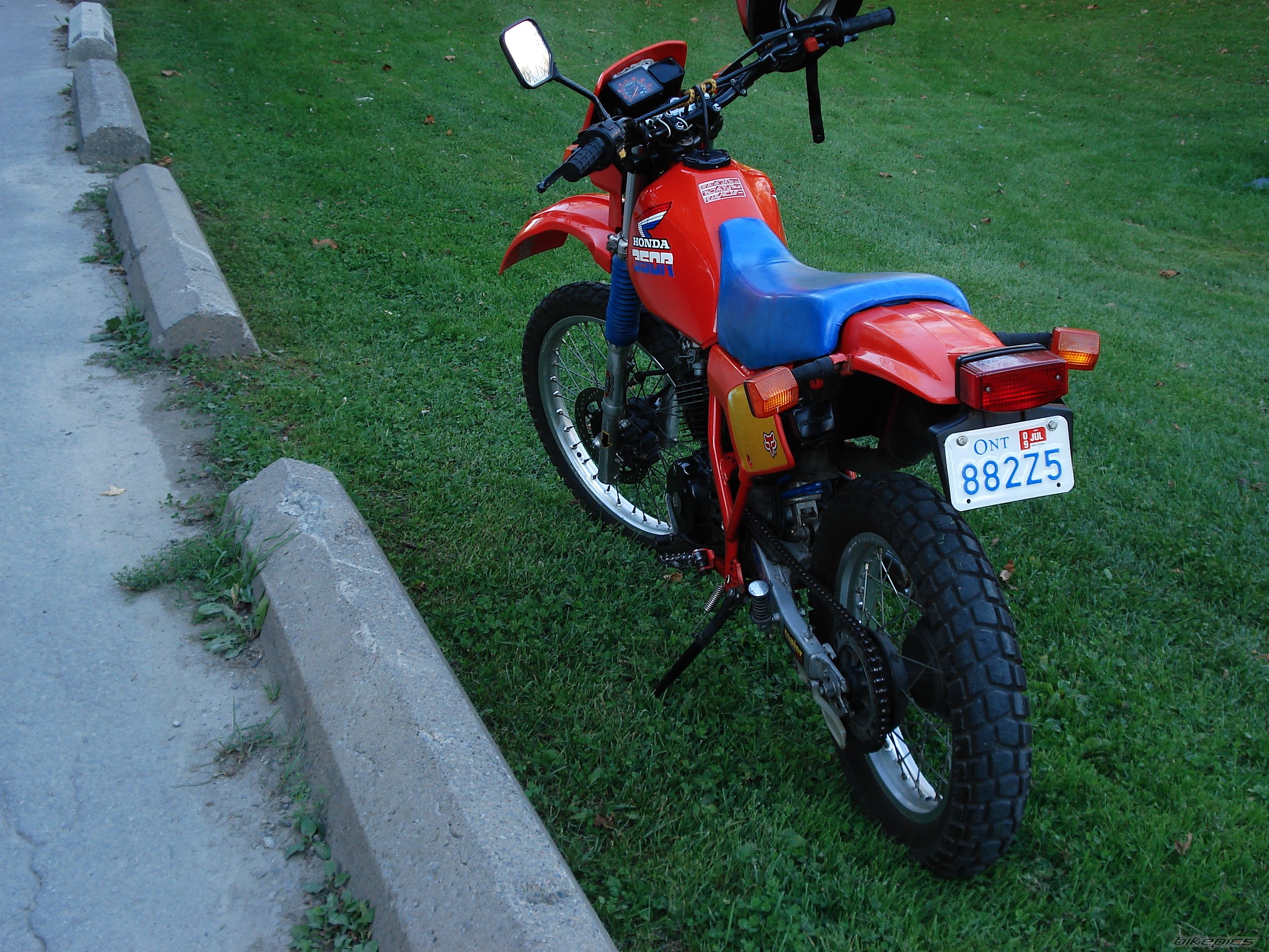 Photo 1555715