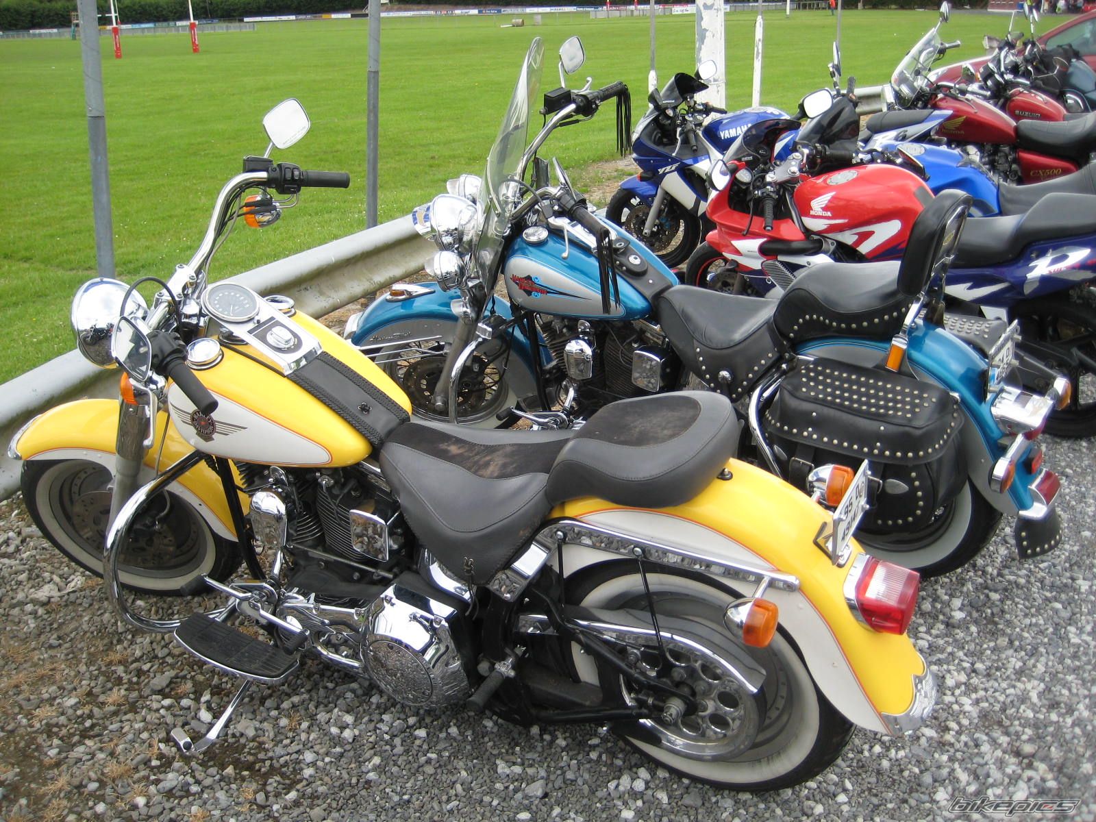 Photo 1555716
