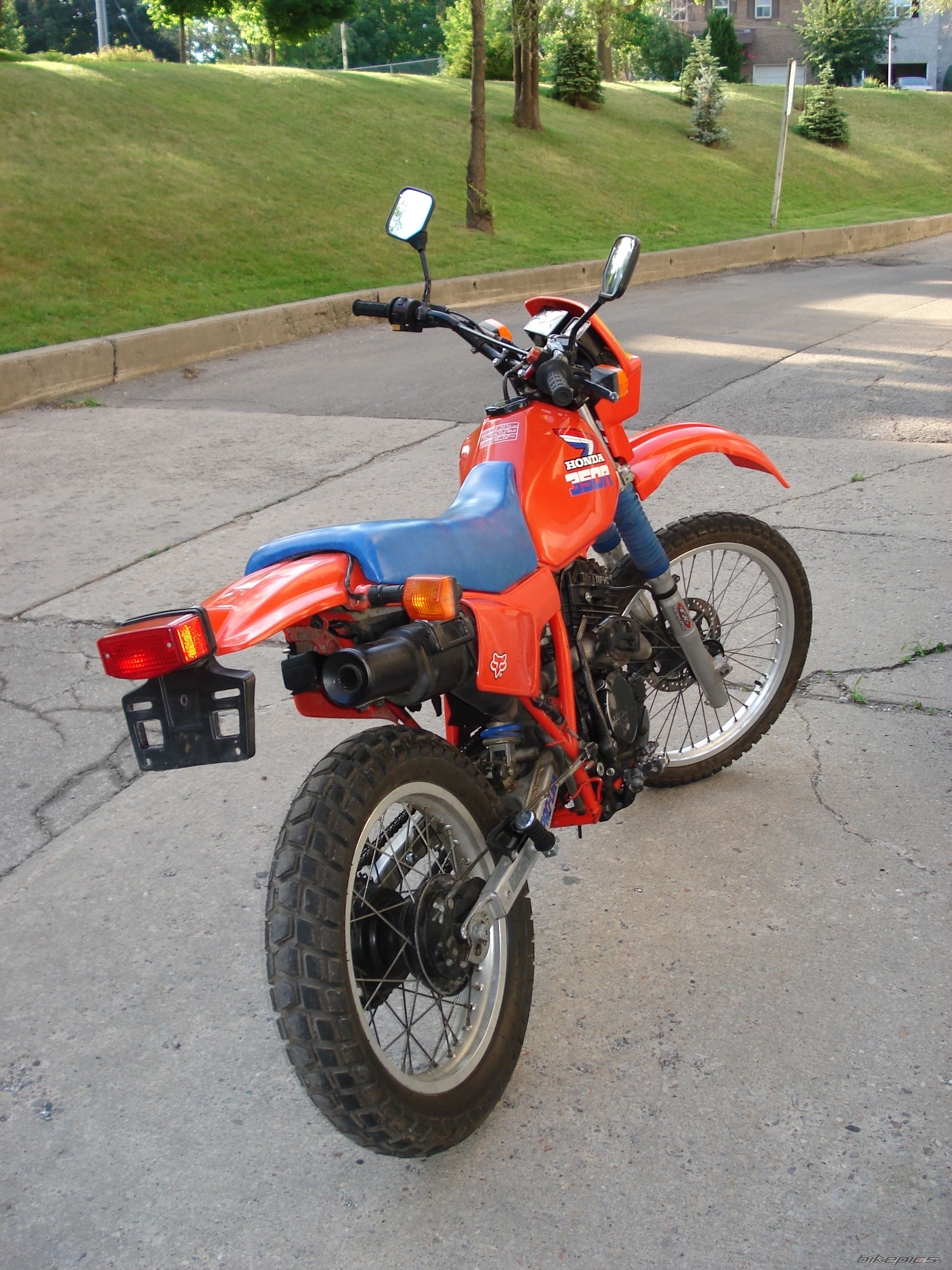Photo 1555728