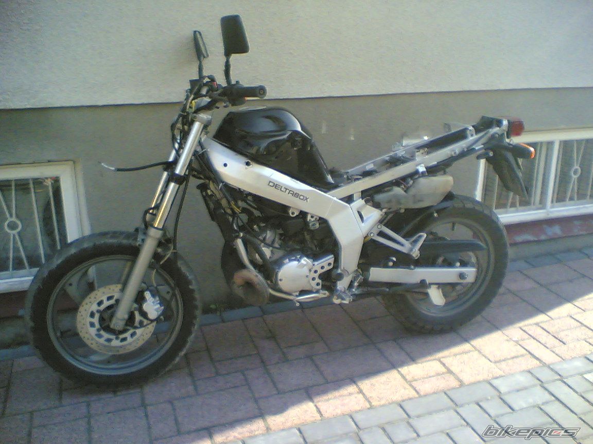 Photo 1555756