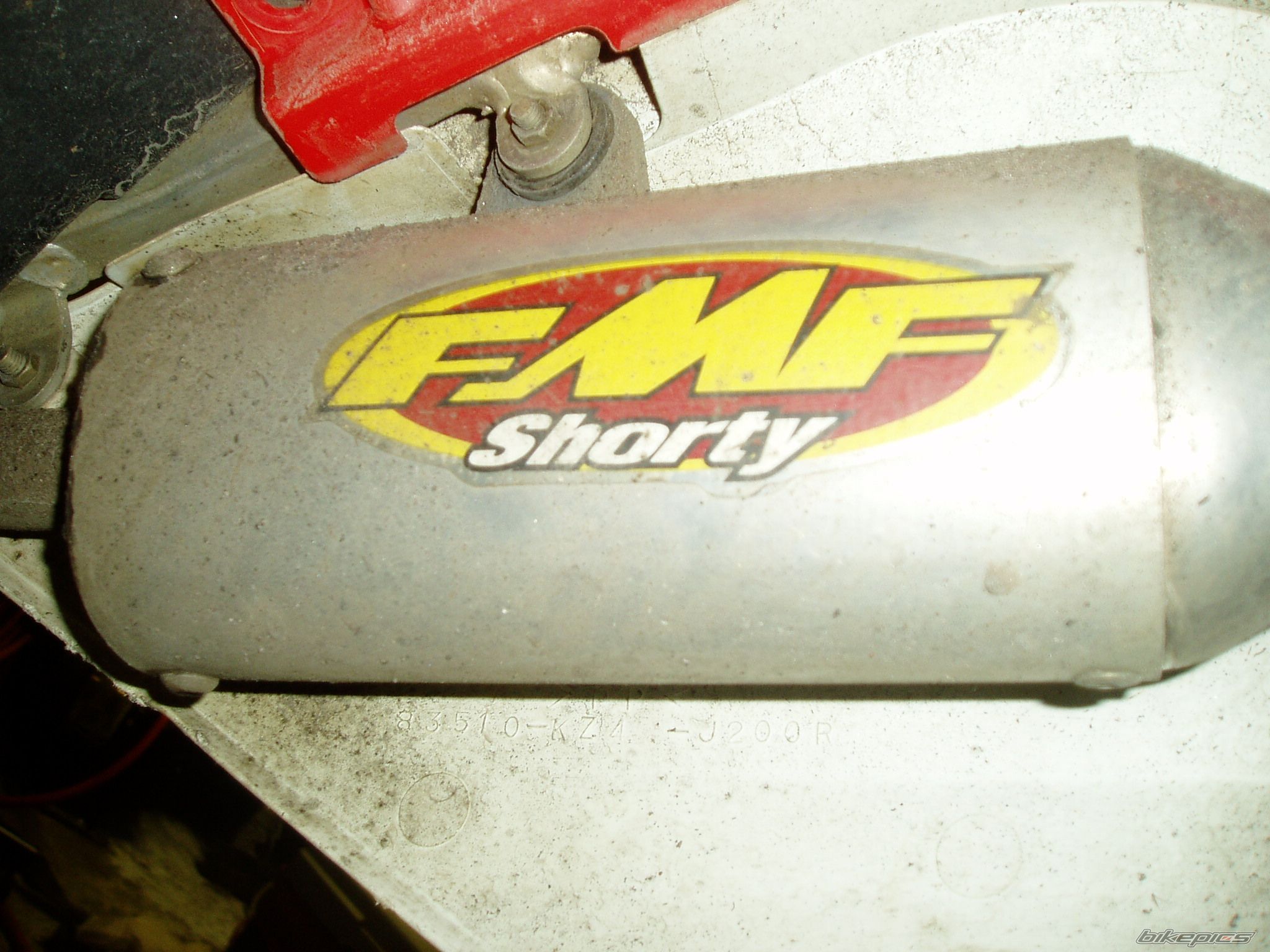 Photo 1555799