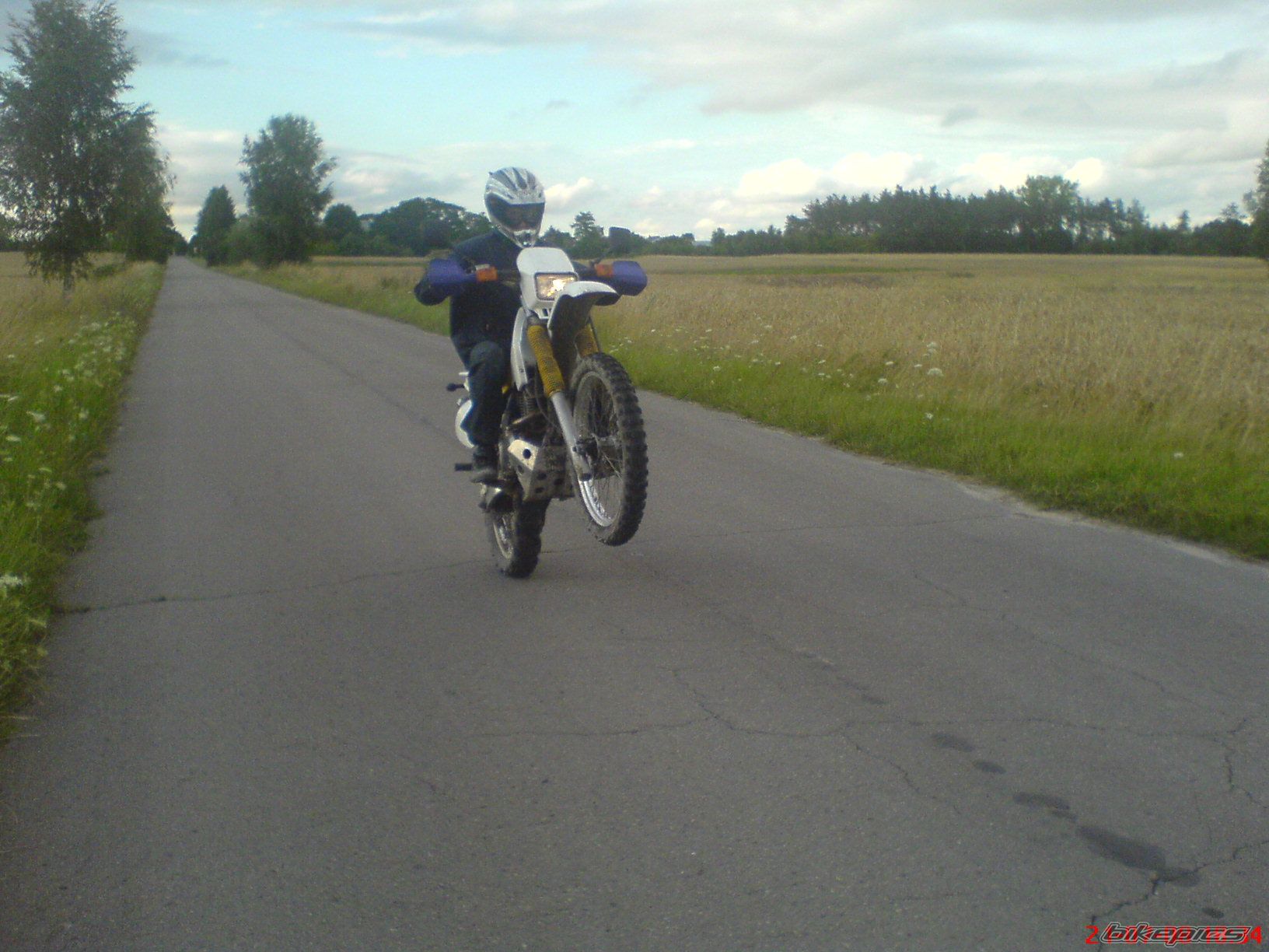 Photo 1555819
