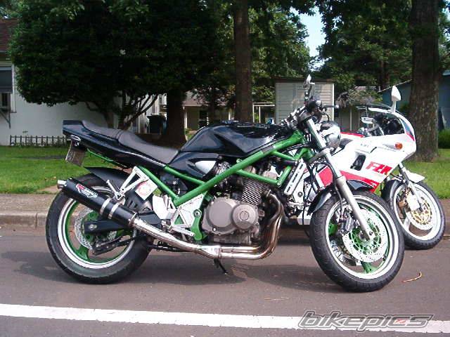 Photo 155582