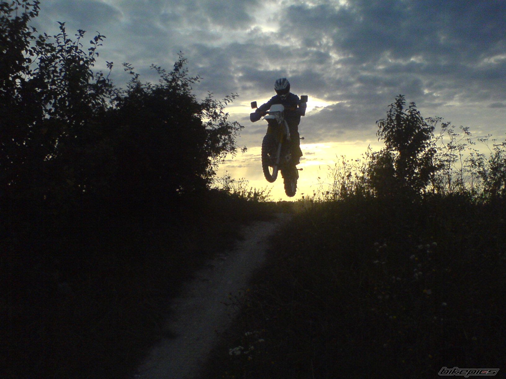 Photo 1555821