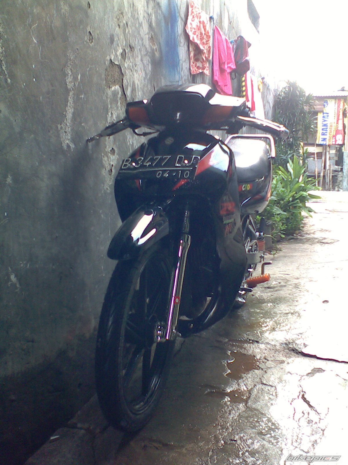 Photo 1555885