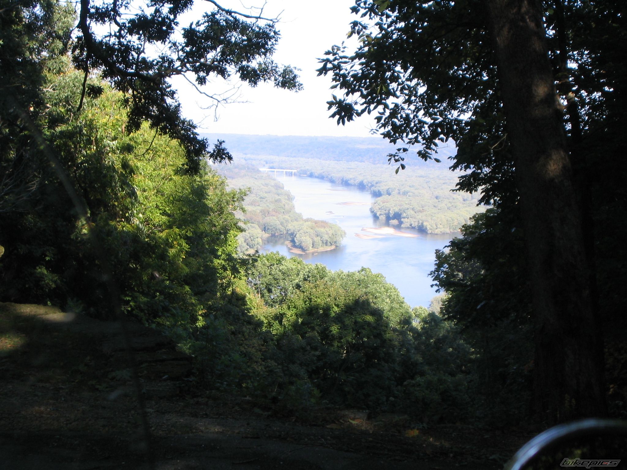 Photo 1555905
