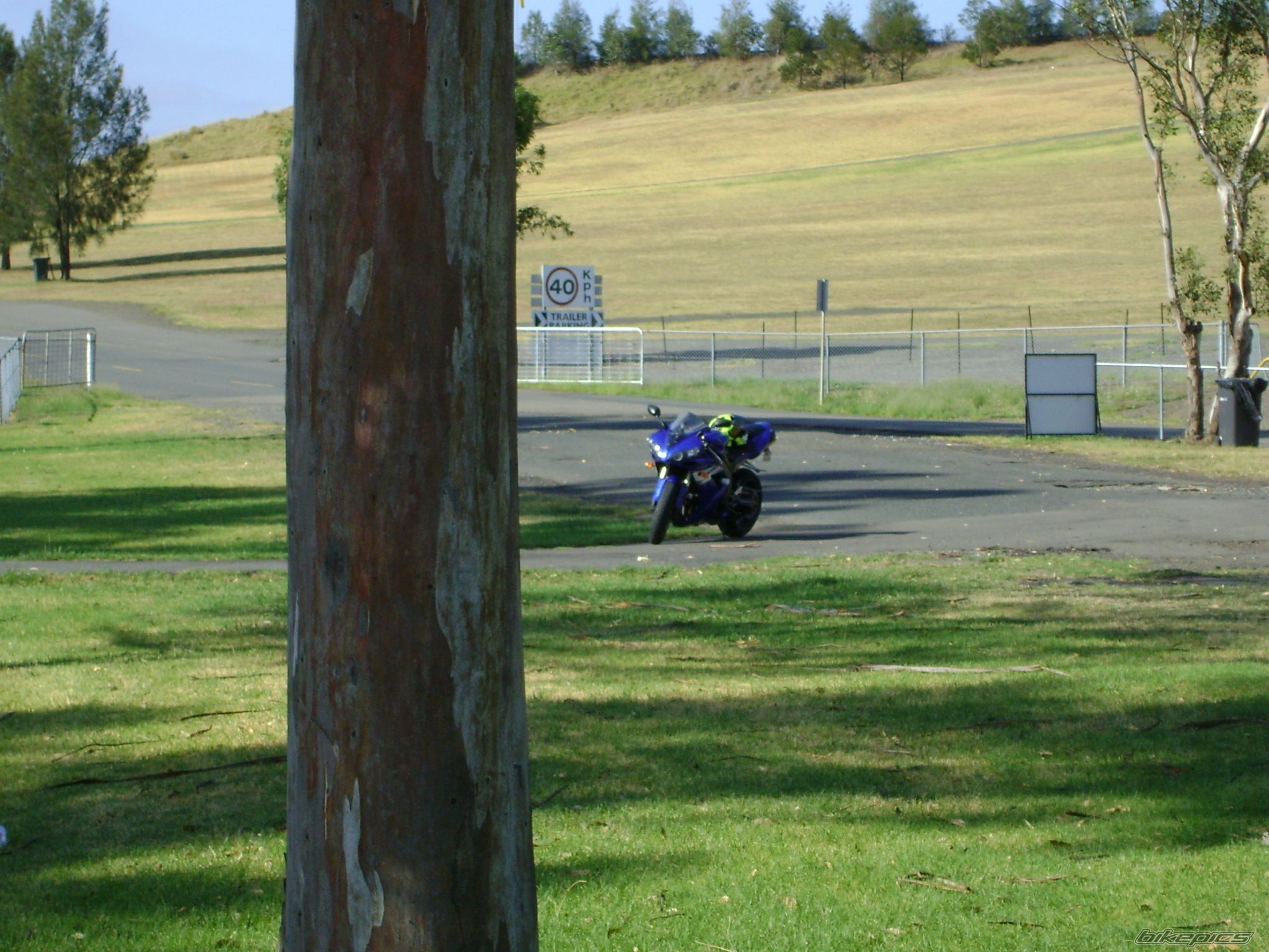 Photo 1555916