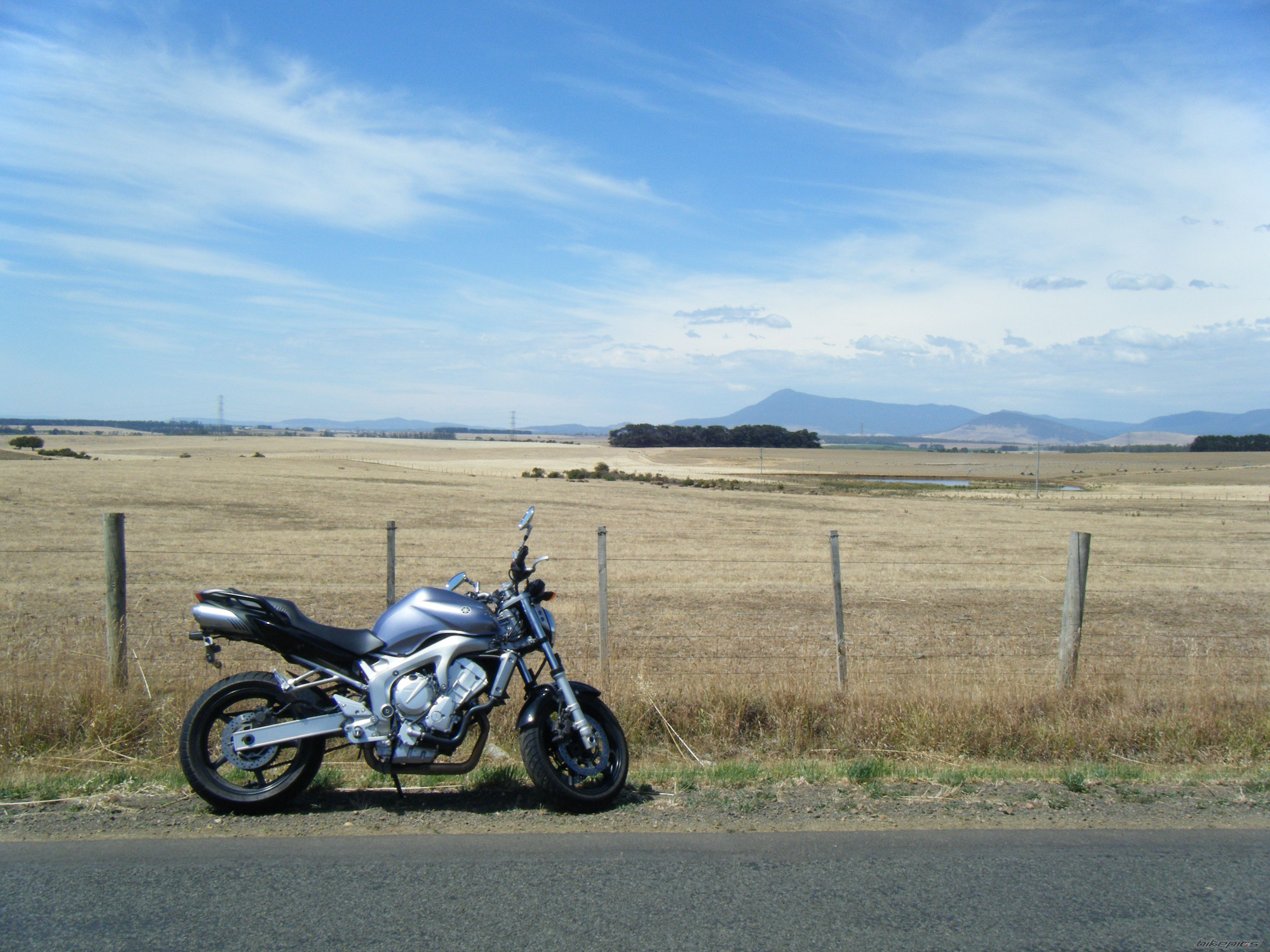 Photo 1555941