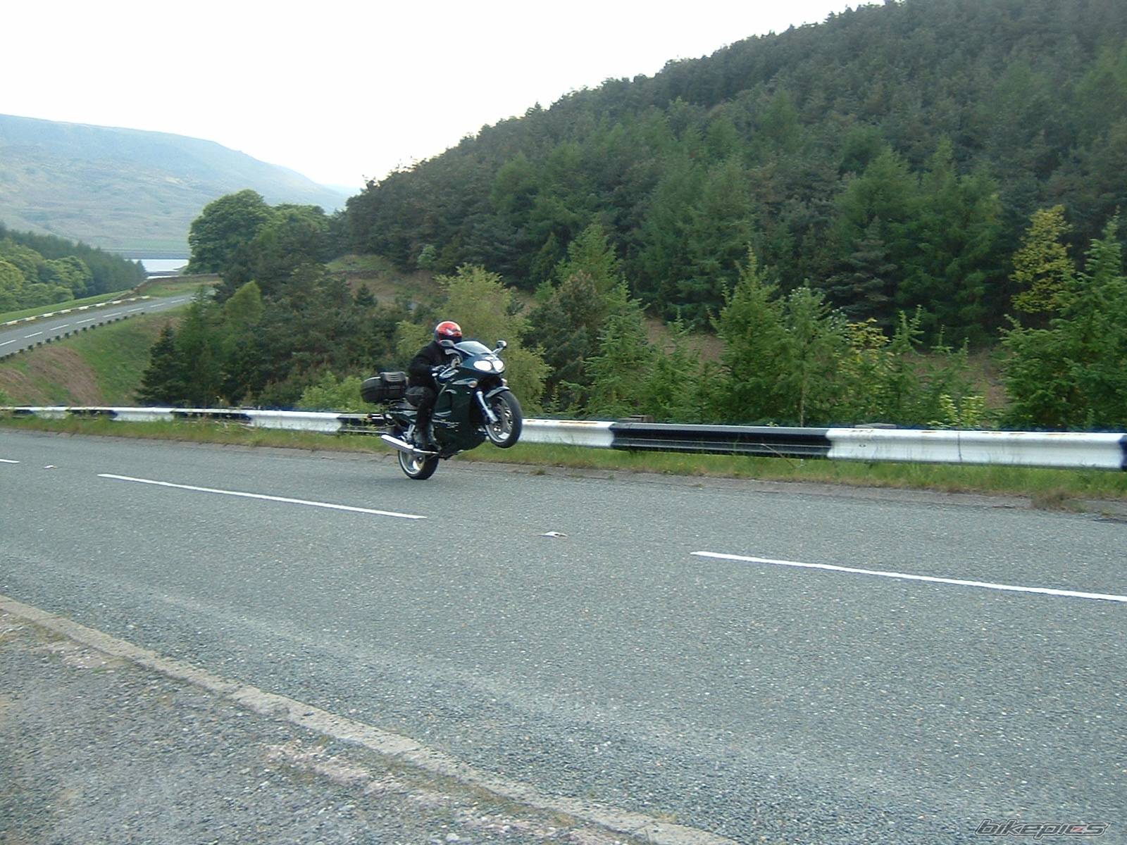 Photo 155599