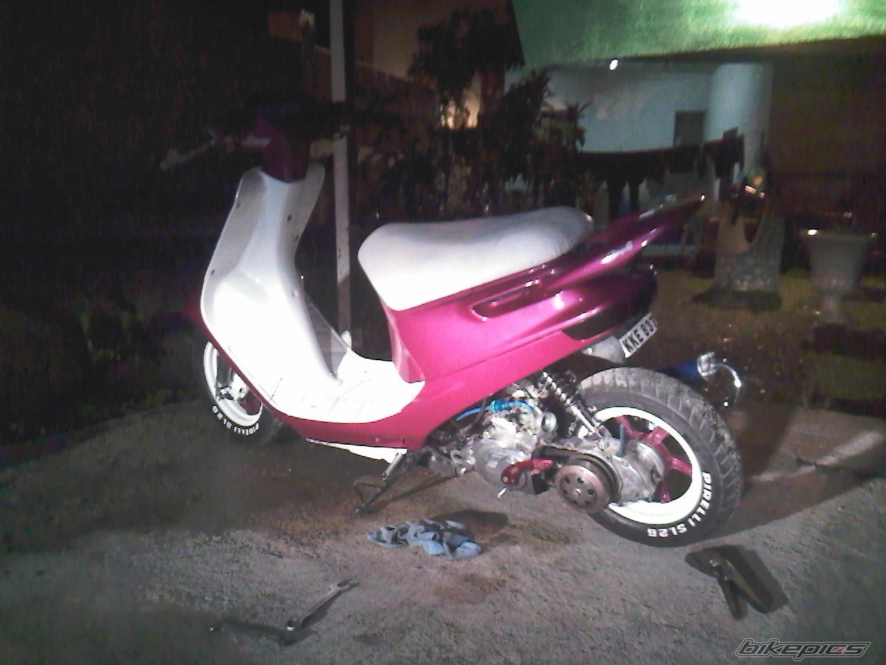 Photo 1556060