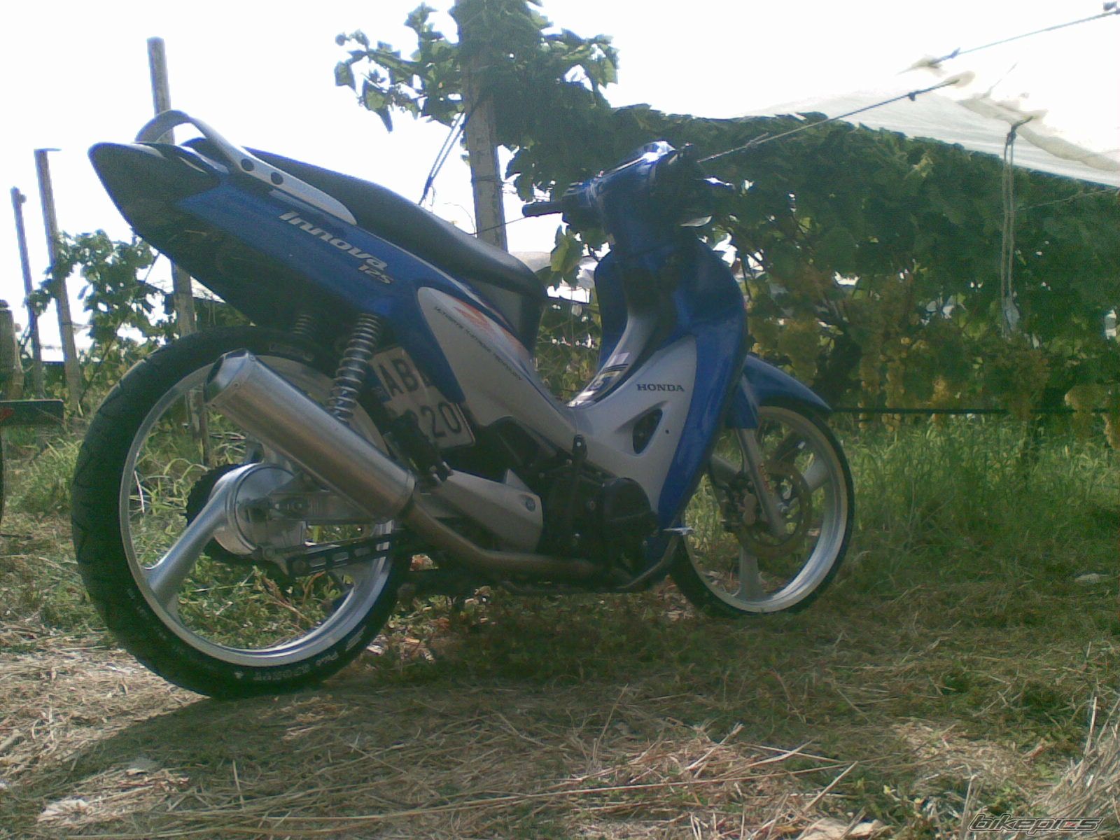 Photo 1556068
