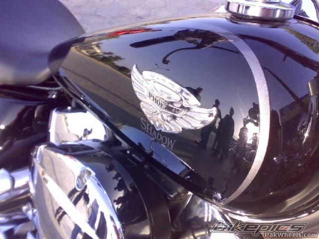 Photo 1556081