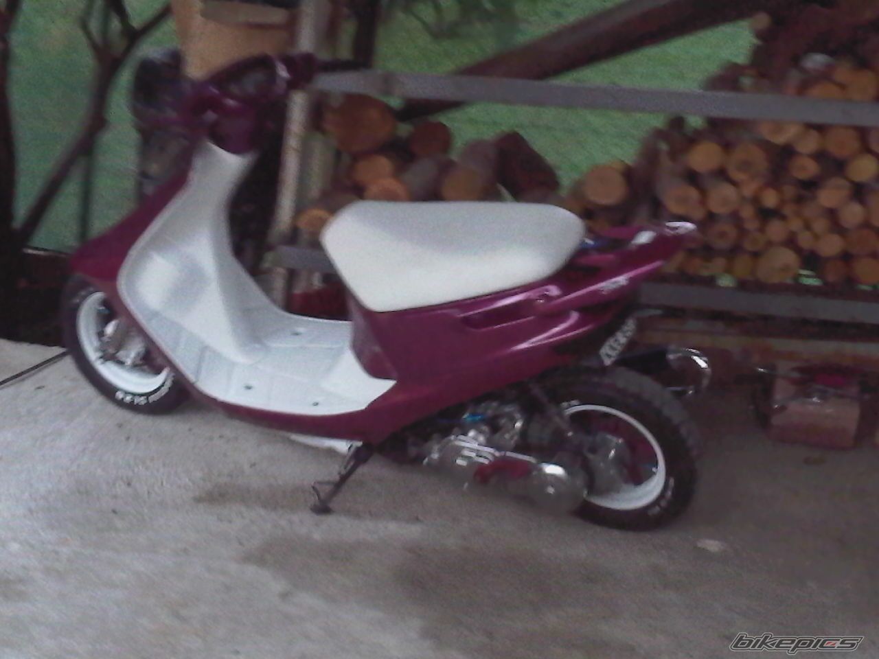 Photo 1556089