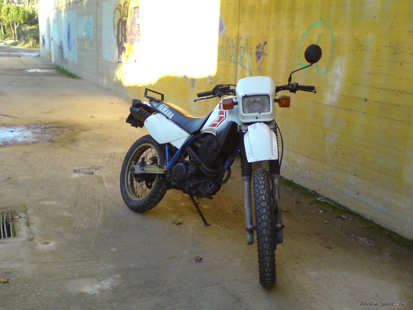 Photo 1556111