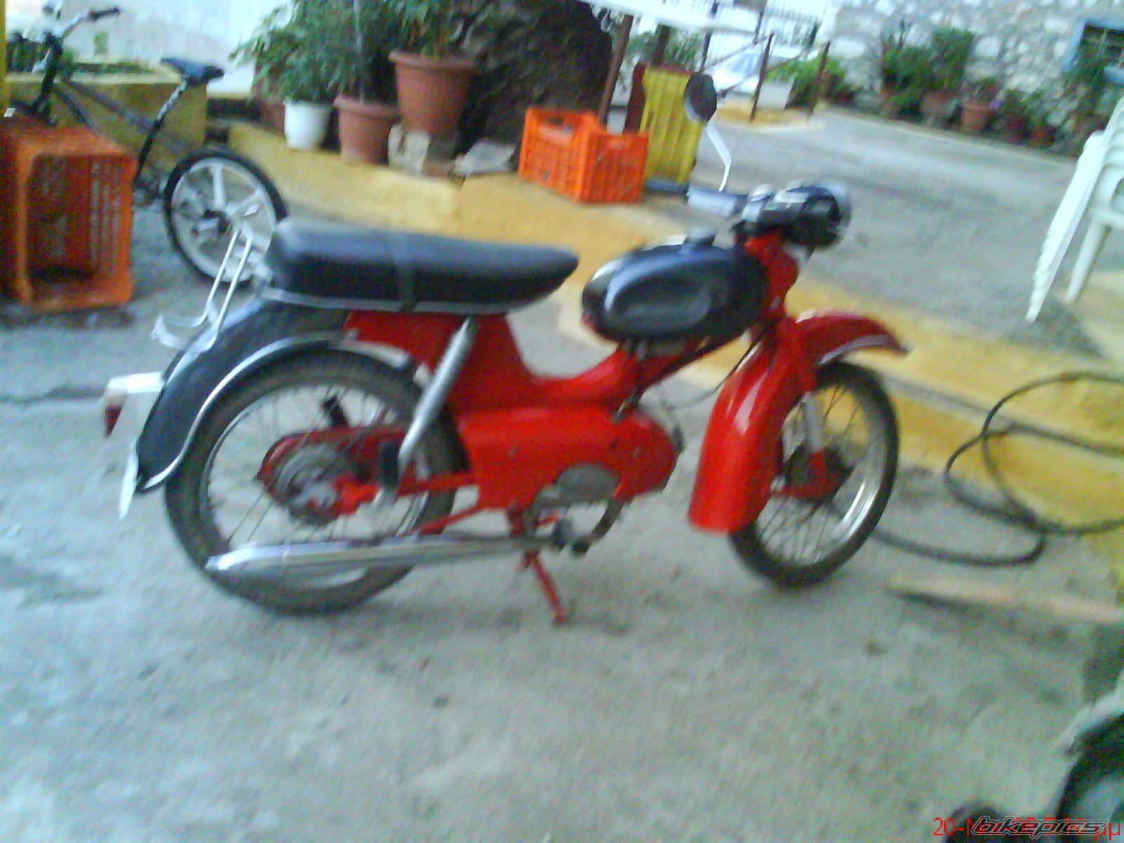 Photo 1556115