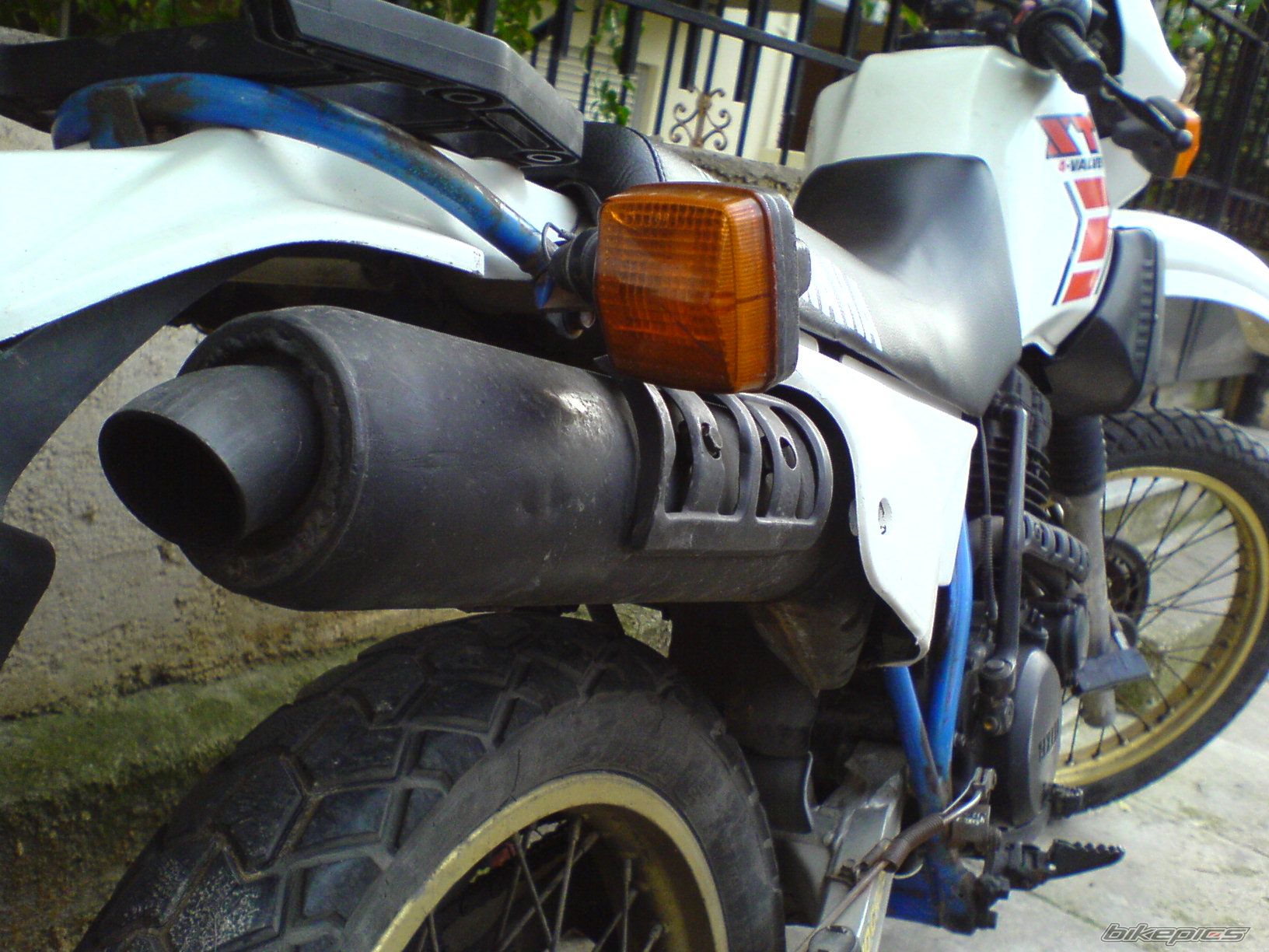 Photo 1556133