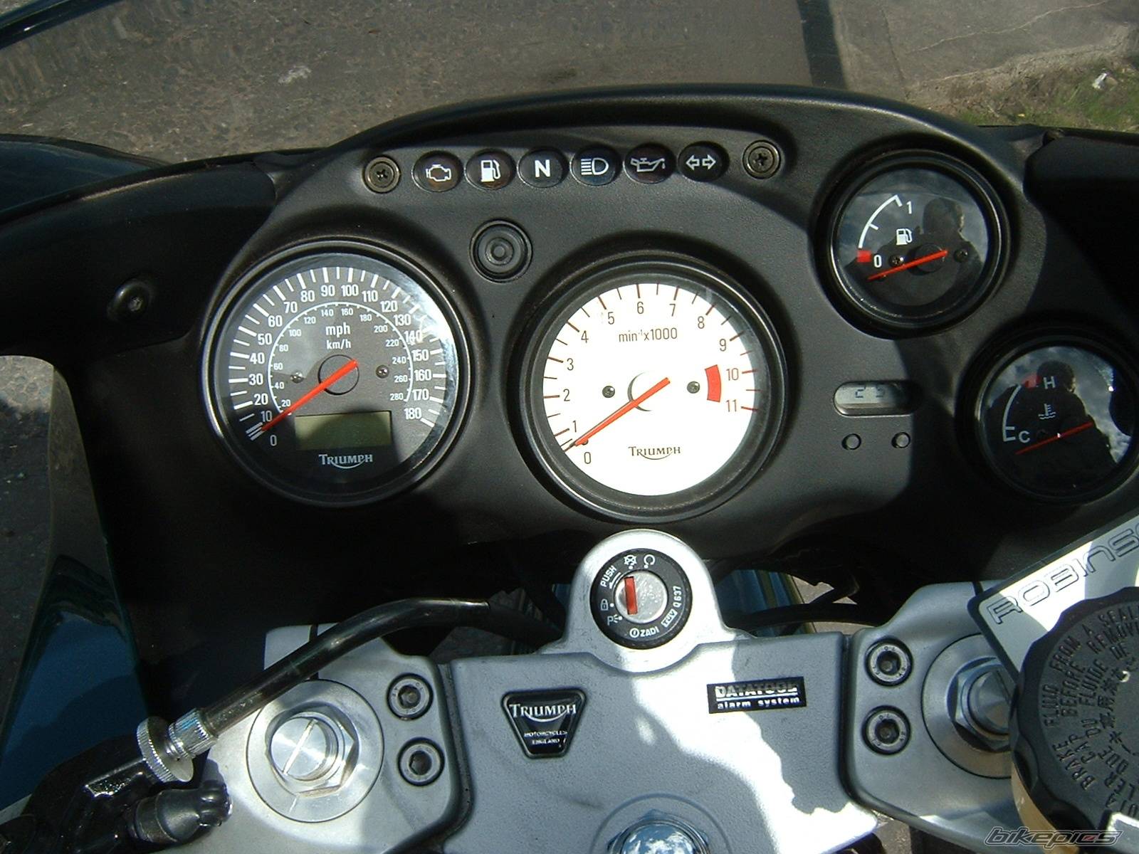Photo 155614