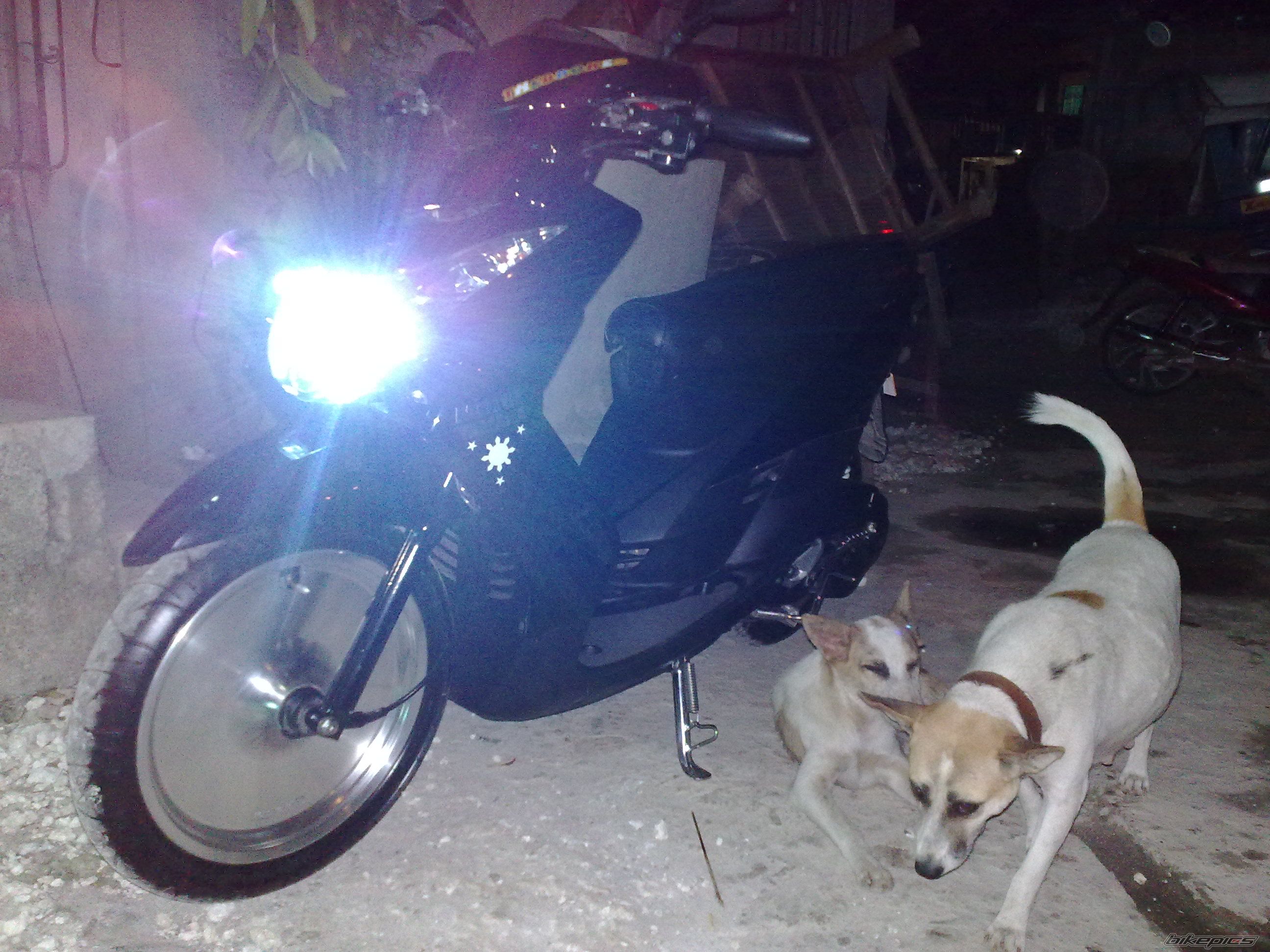 Bike Photo 1556249