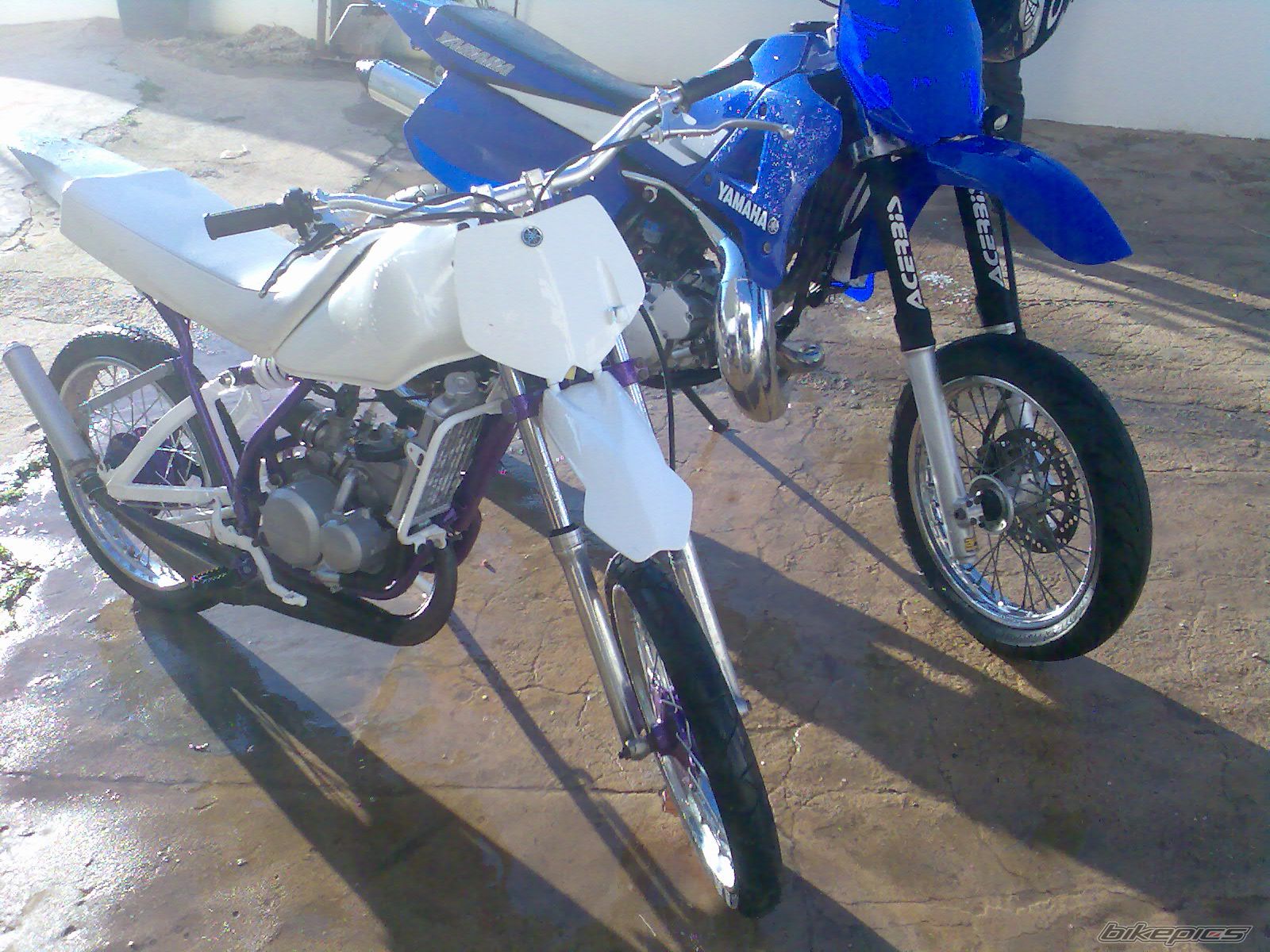 Photo 1556258