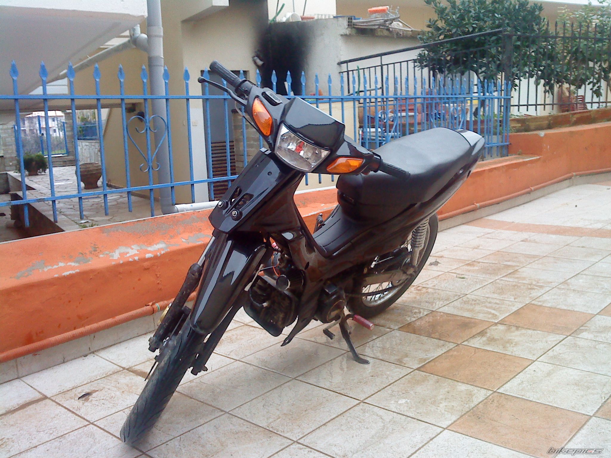 Photo 1556266