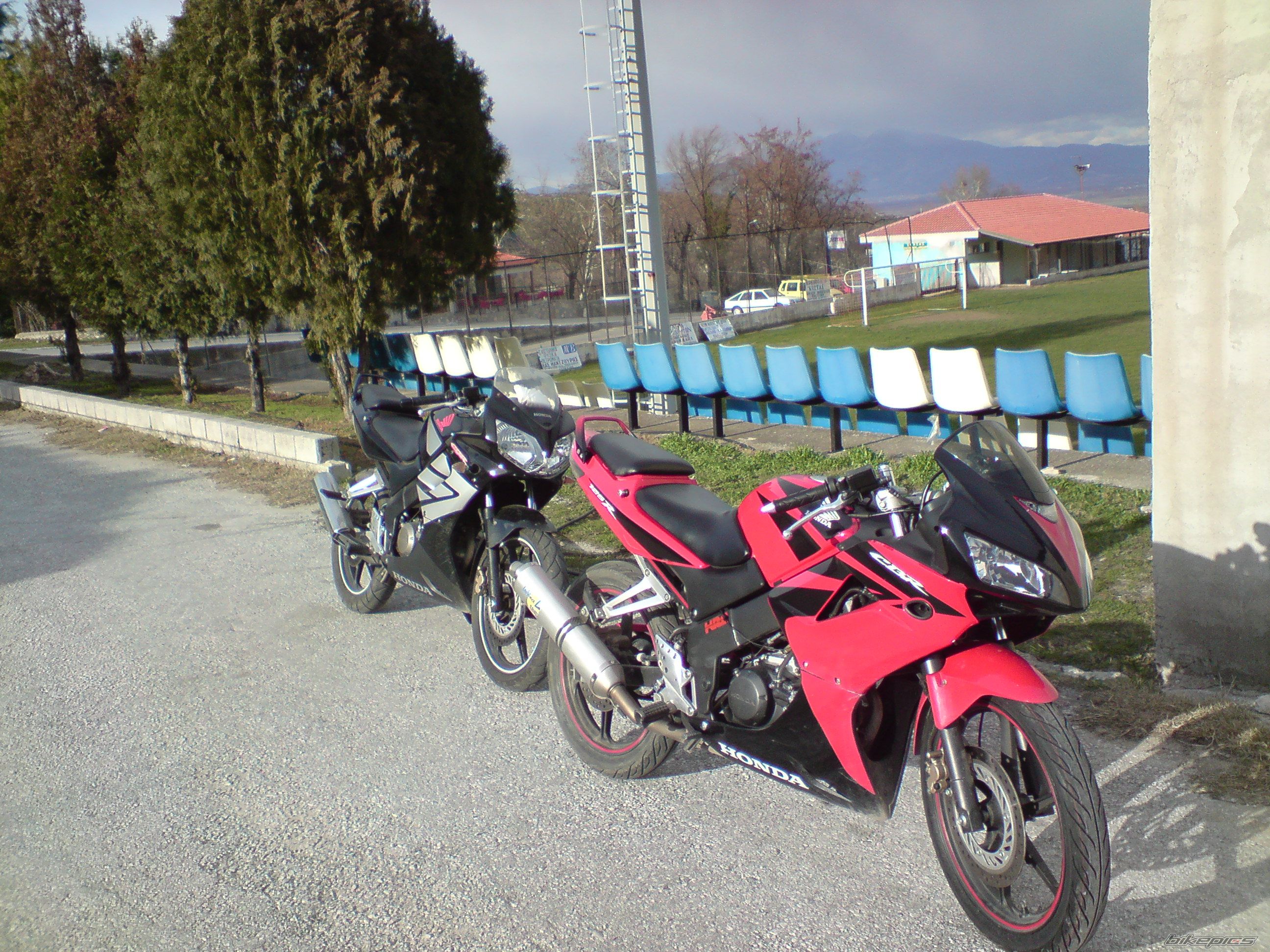 Photo 1556269