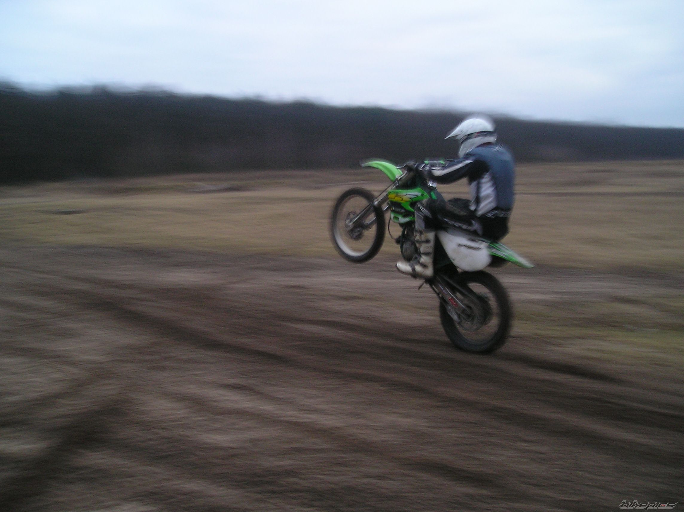 Photo 1556288