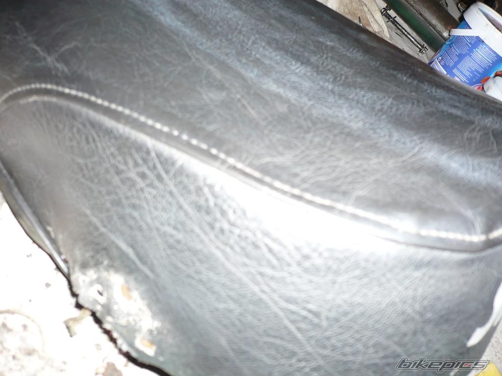 Photo 1556318