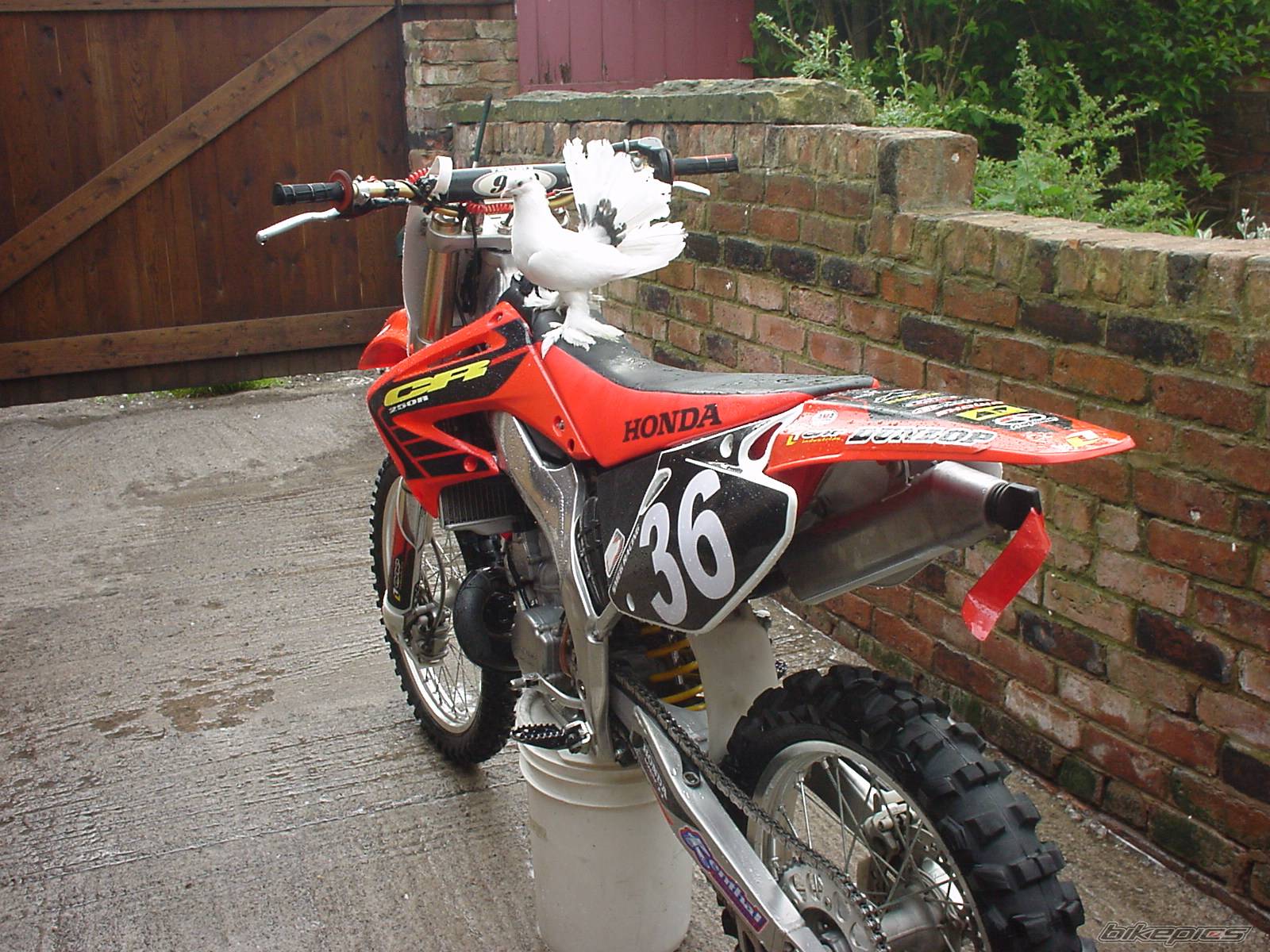 Bike Photo 155635