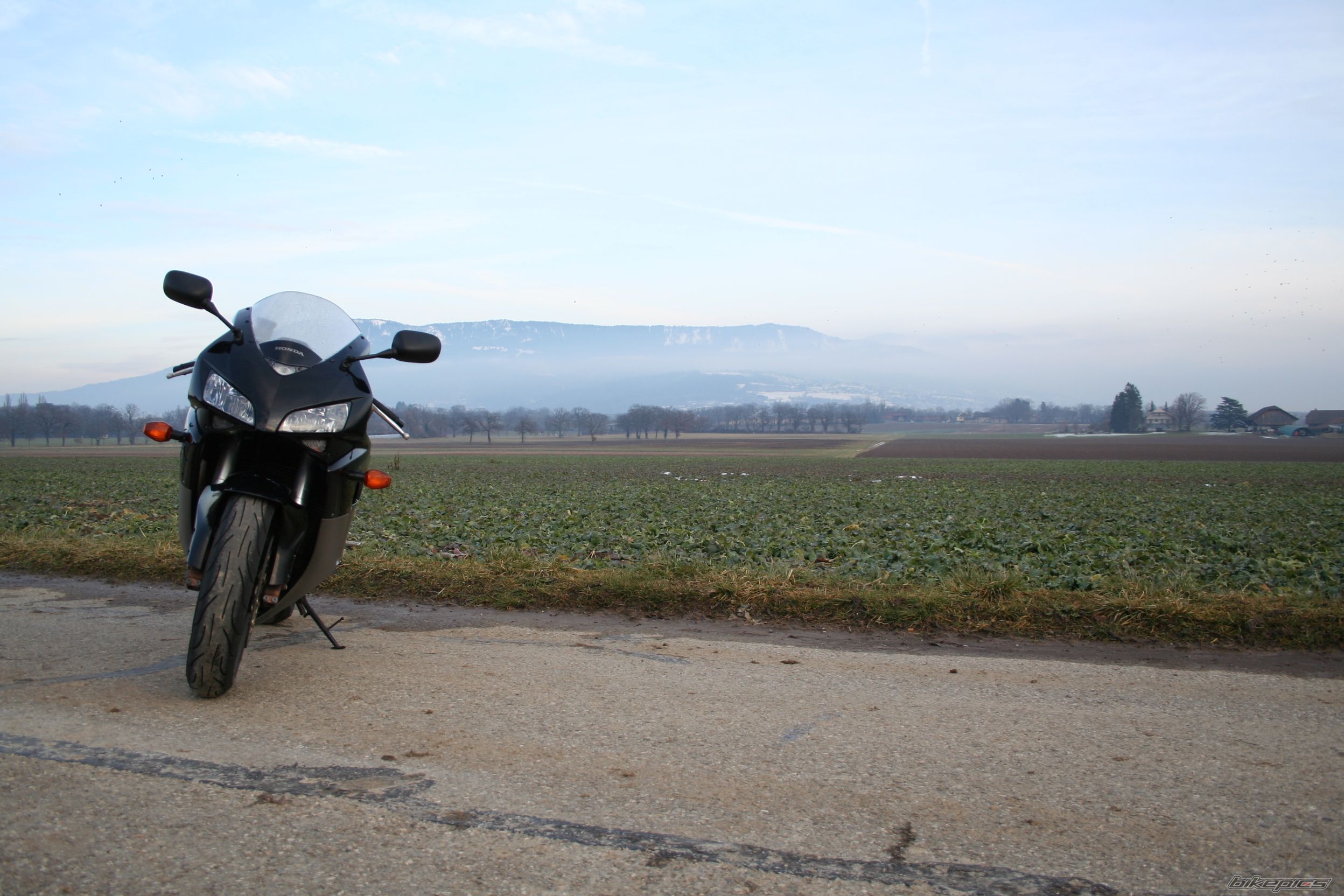 Photo 1556370
