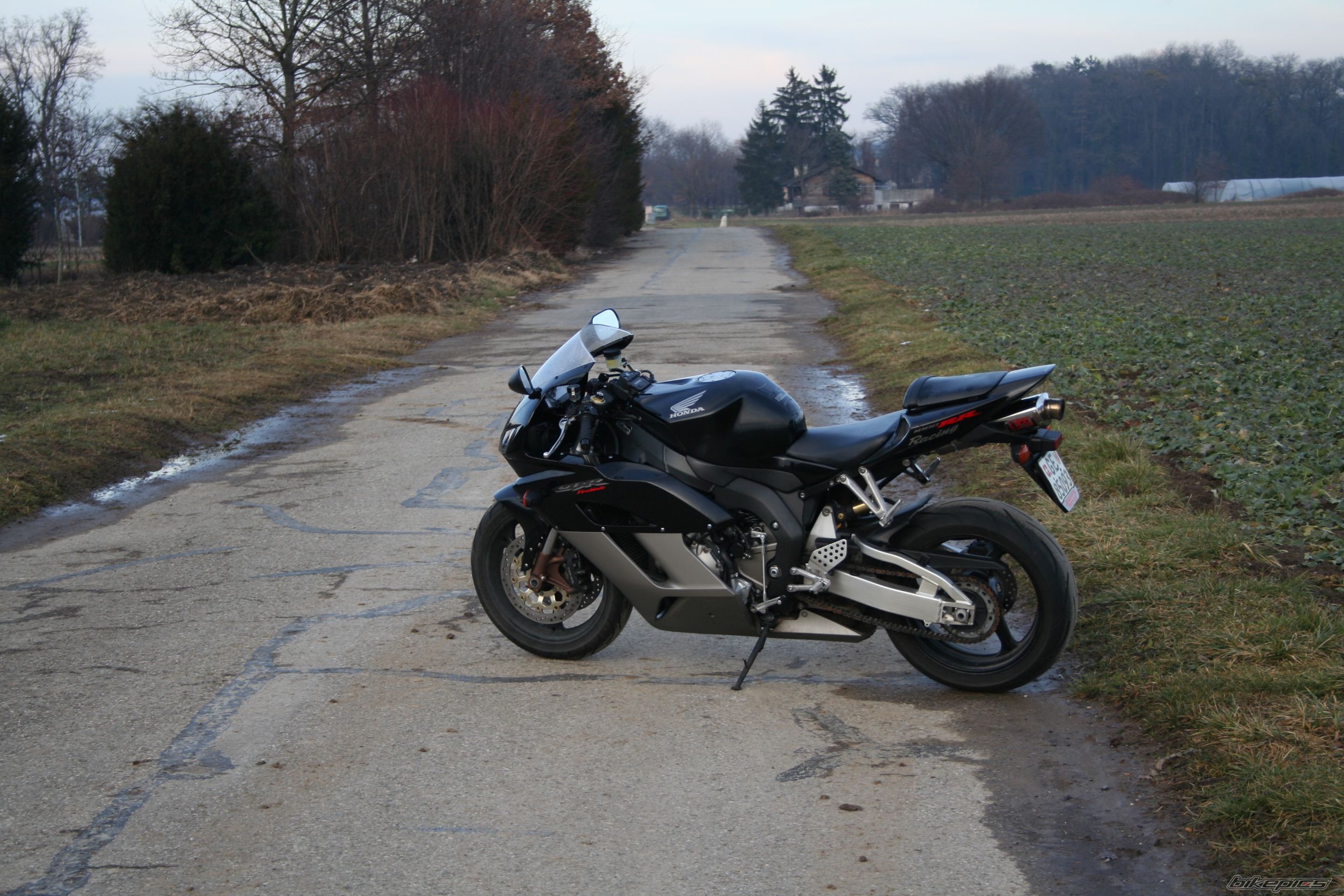 Photo 1556384