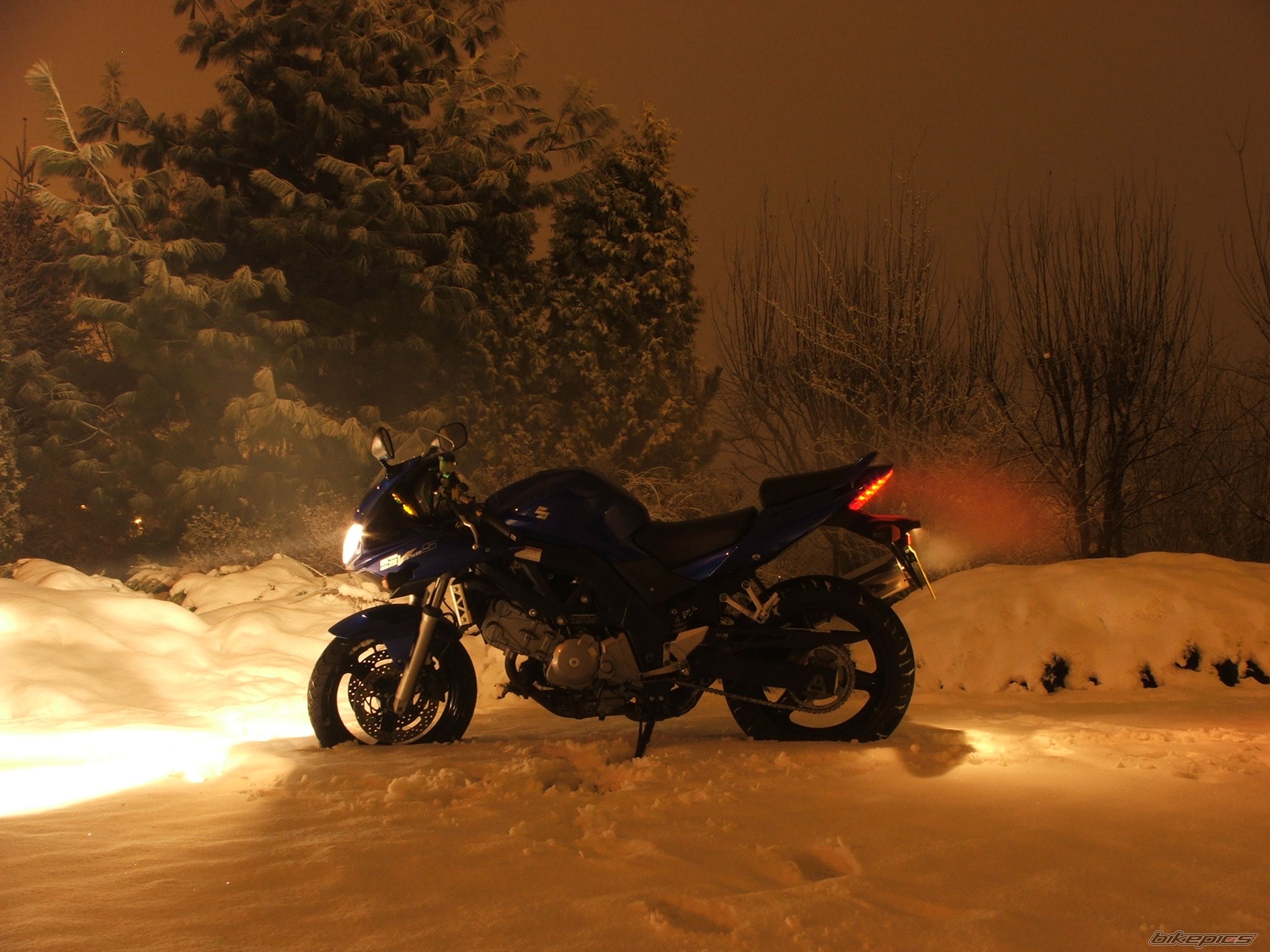 Photo 1556387
