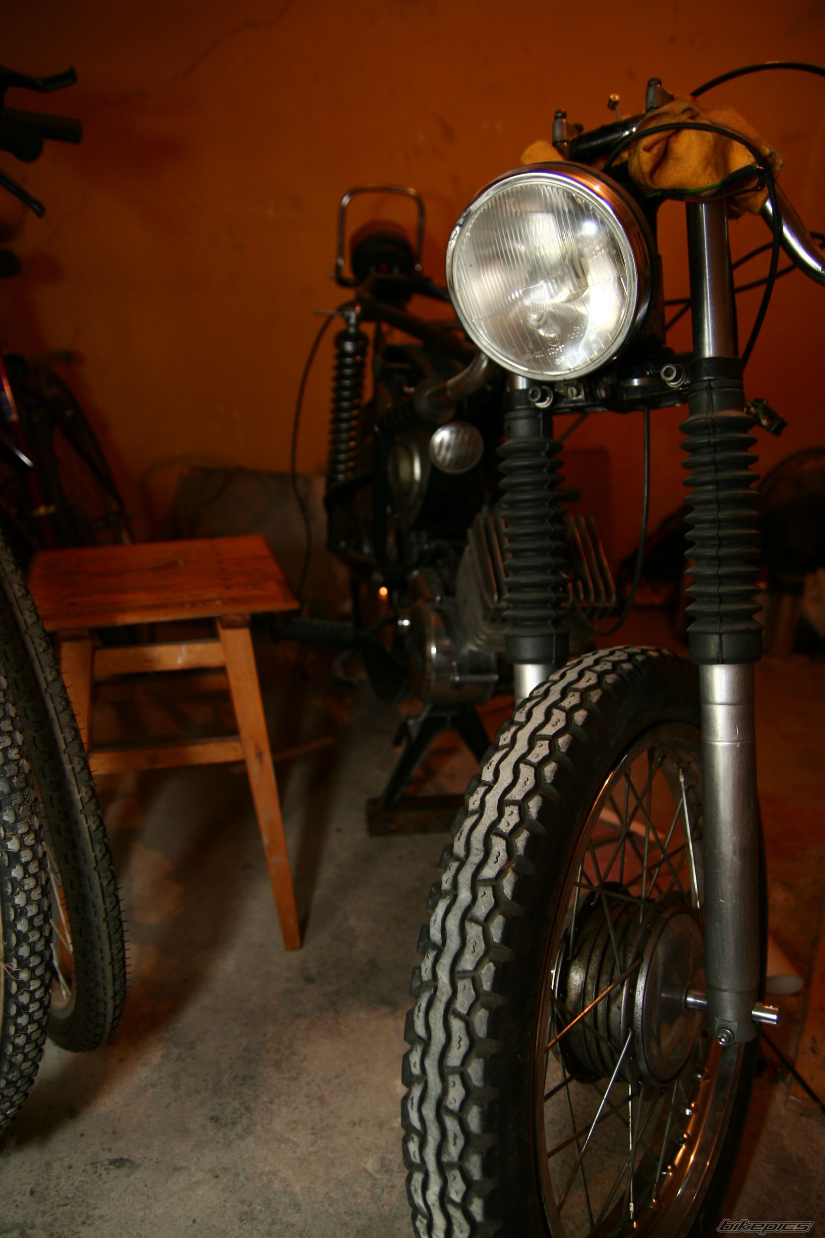 Photo 1556454