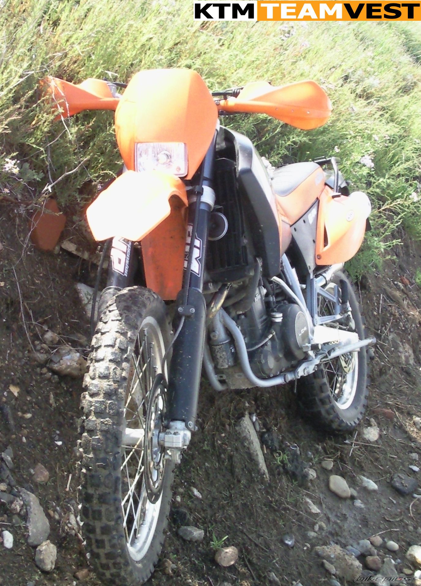 Photo 1556506