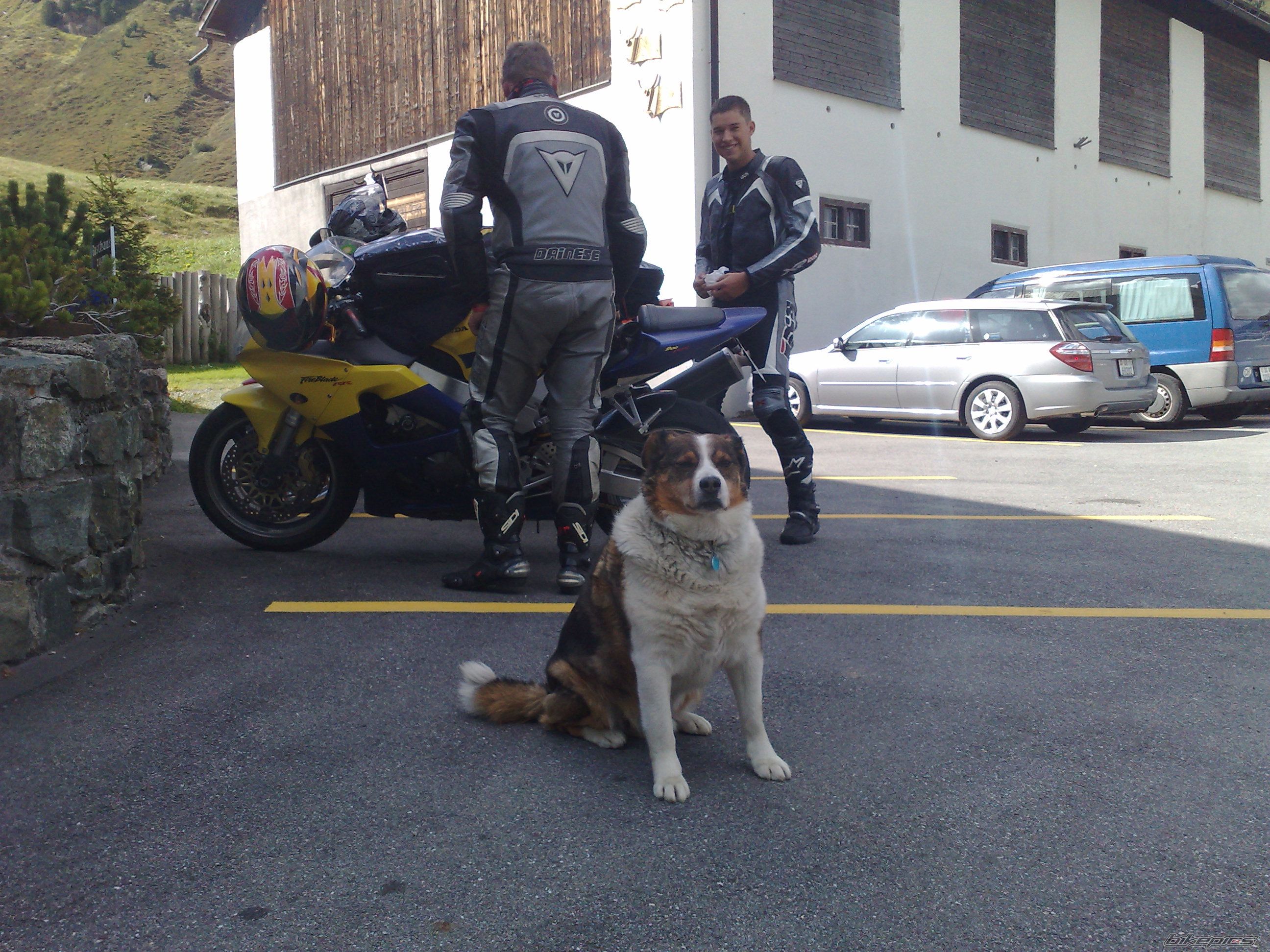 Photo 1556609