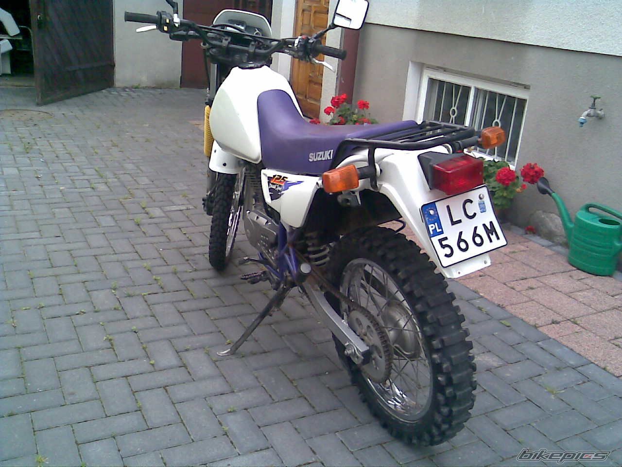 Photo 1556646