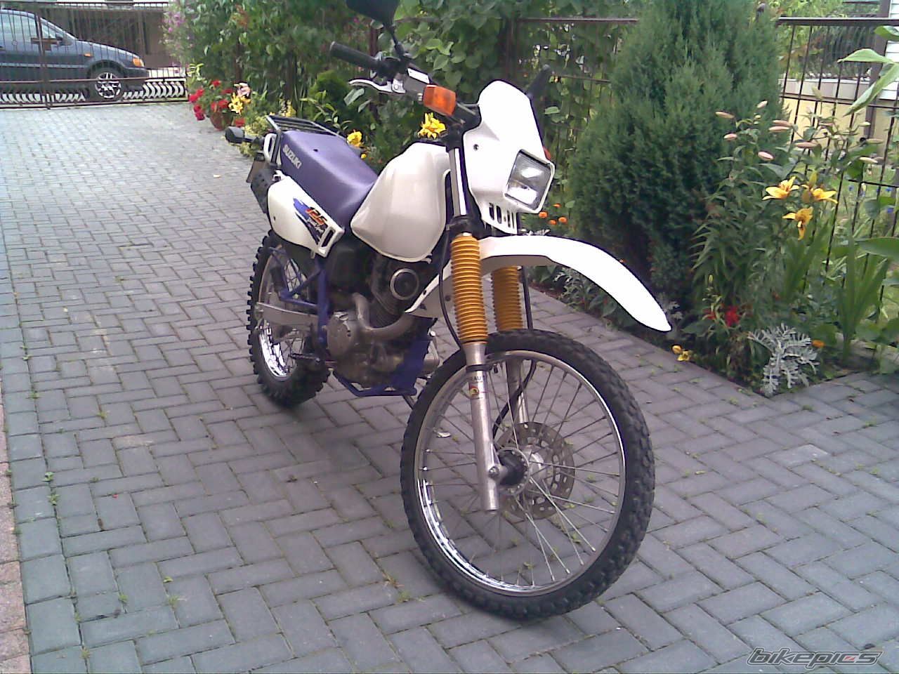Photo 1556650