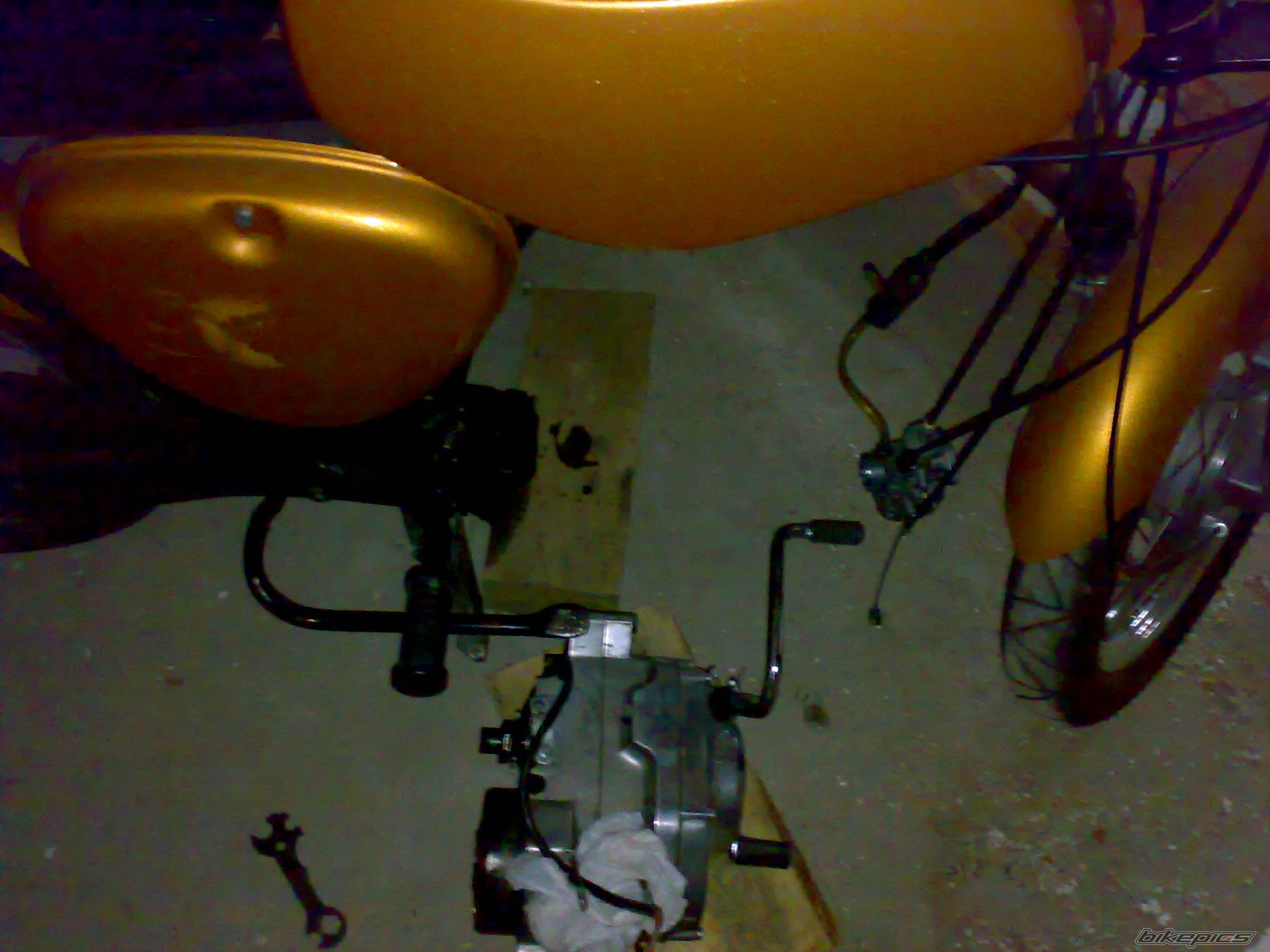 Photo 1556653