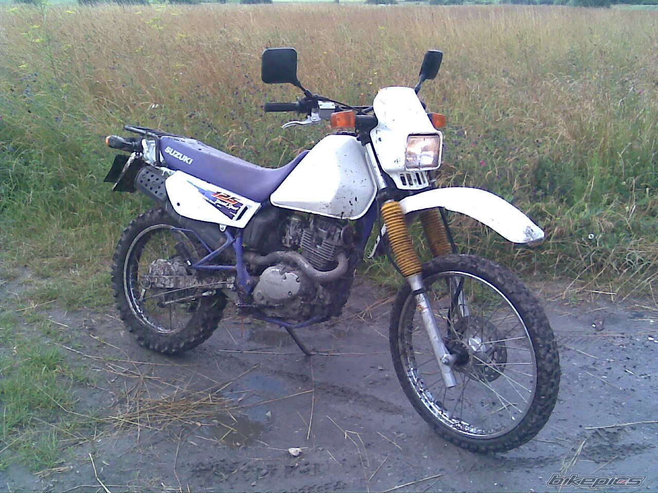 Photo 1556655