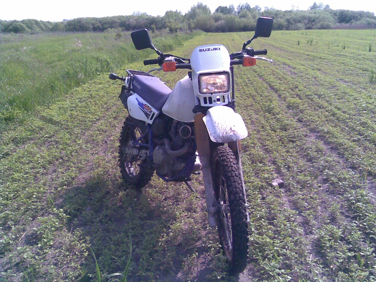 Photo 1556665