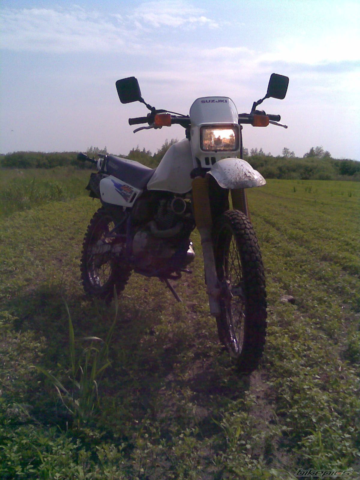 Photo 1556678
