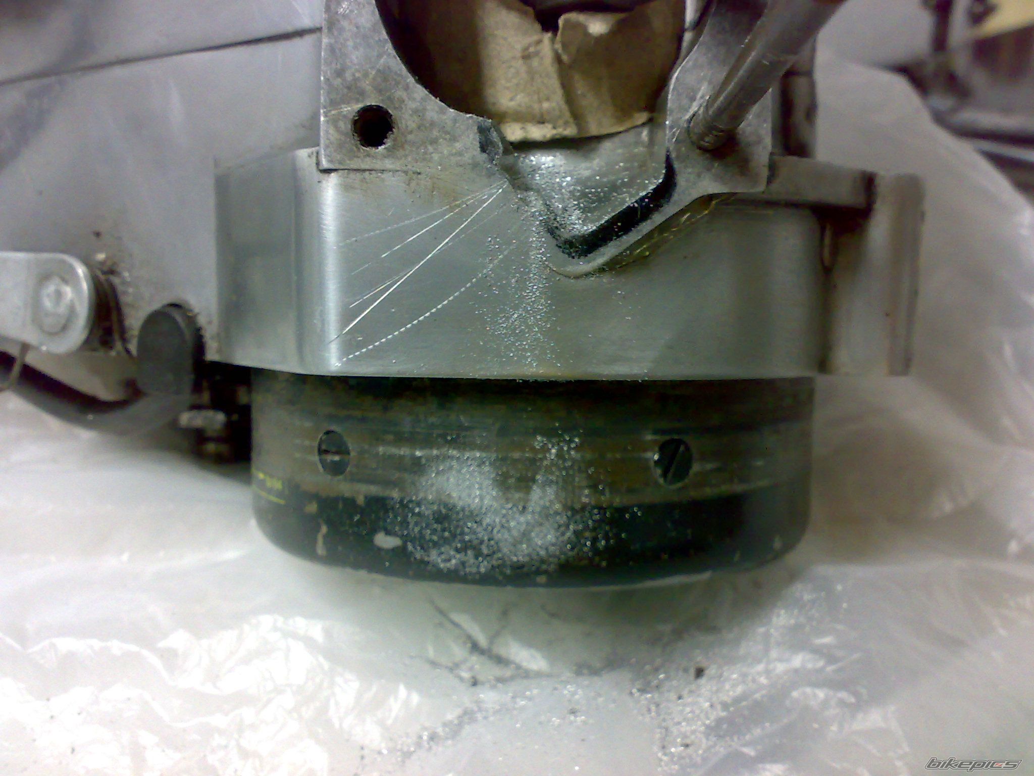 Photo 1556679