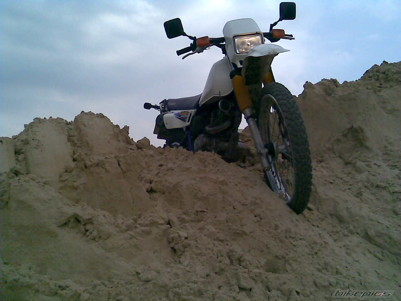 Photo 1556689