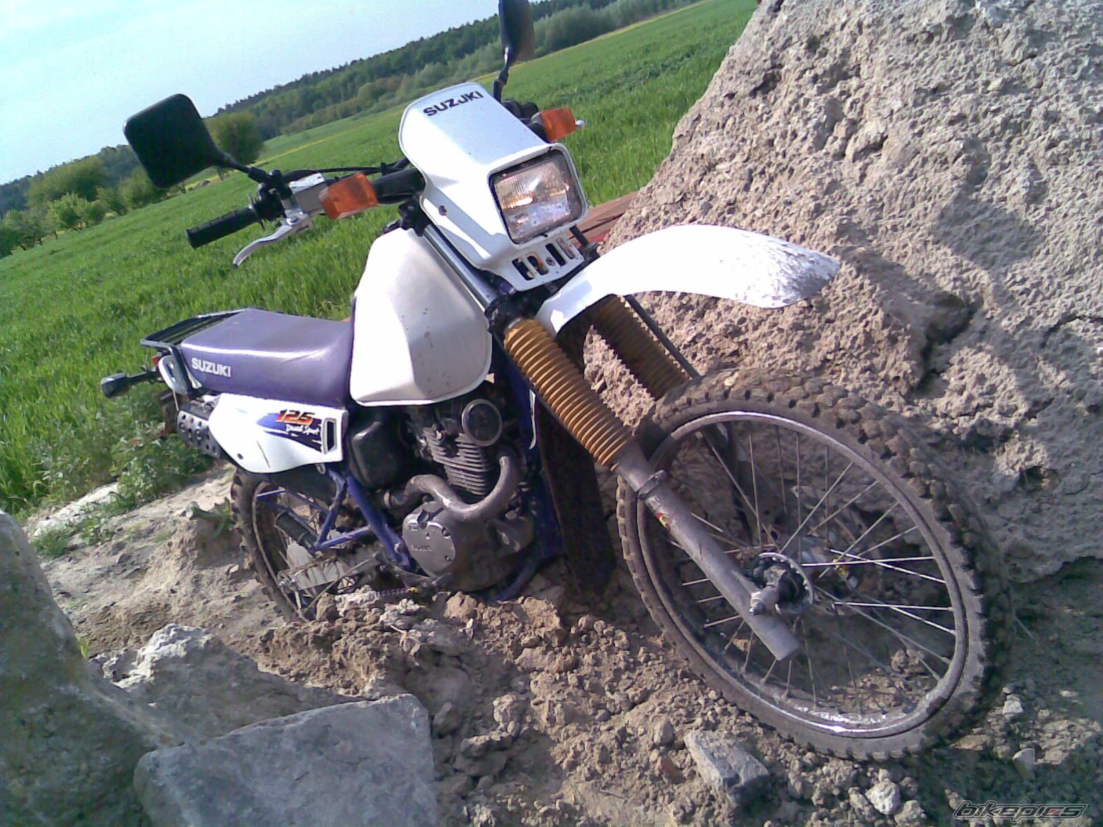 Photo 1556702
