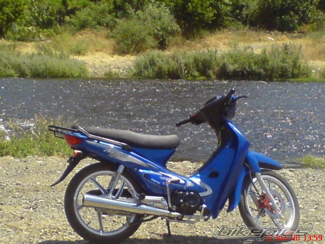 Photo 1556705