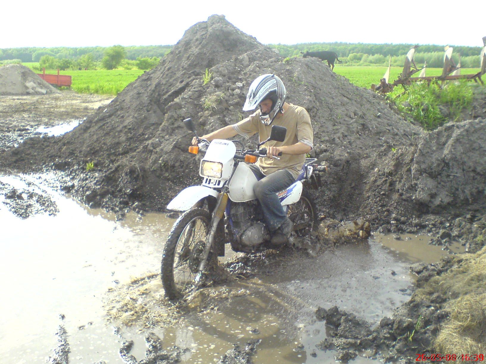 Photo 1556720