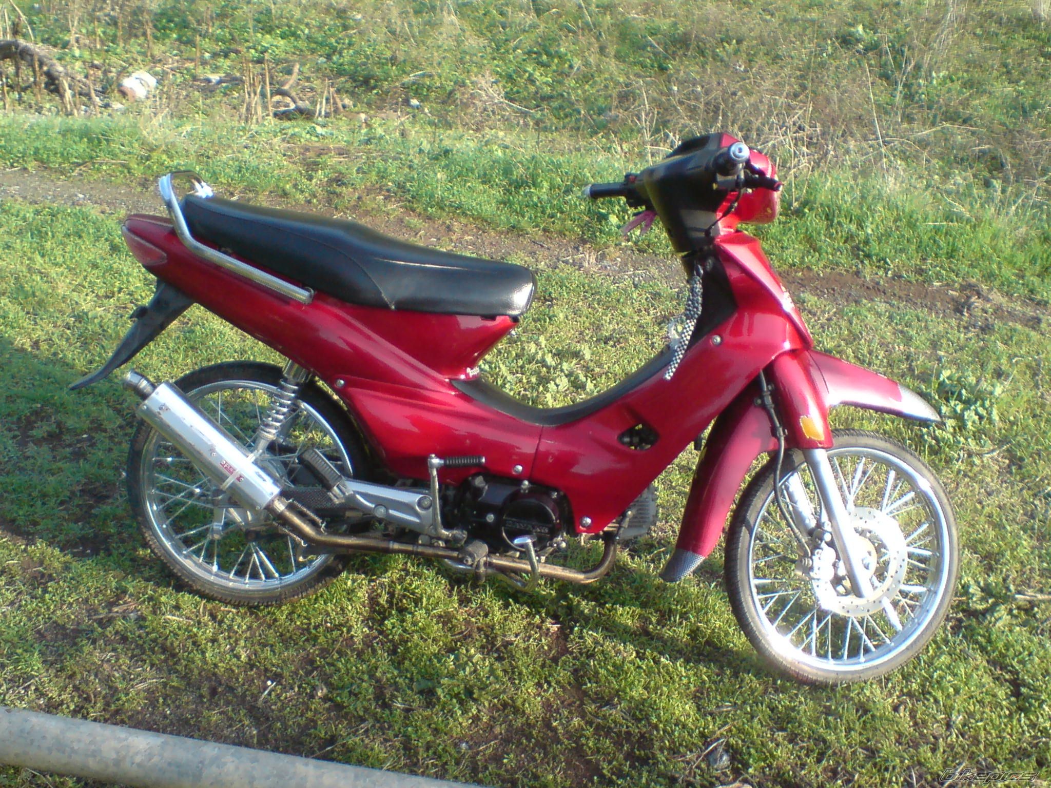 Photo 1556725